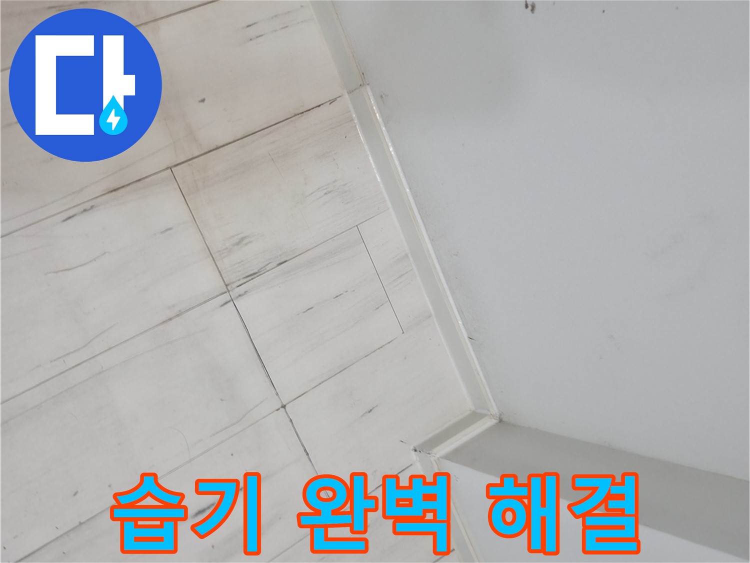 관악구 들뜬 마루 습기 누수 쾌적한 환경 조성