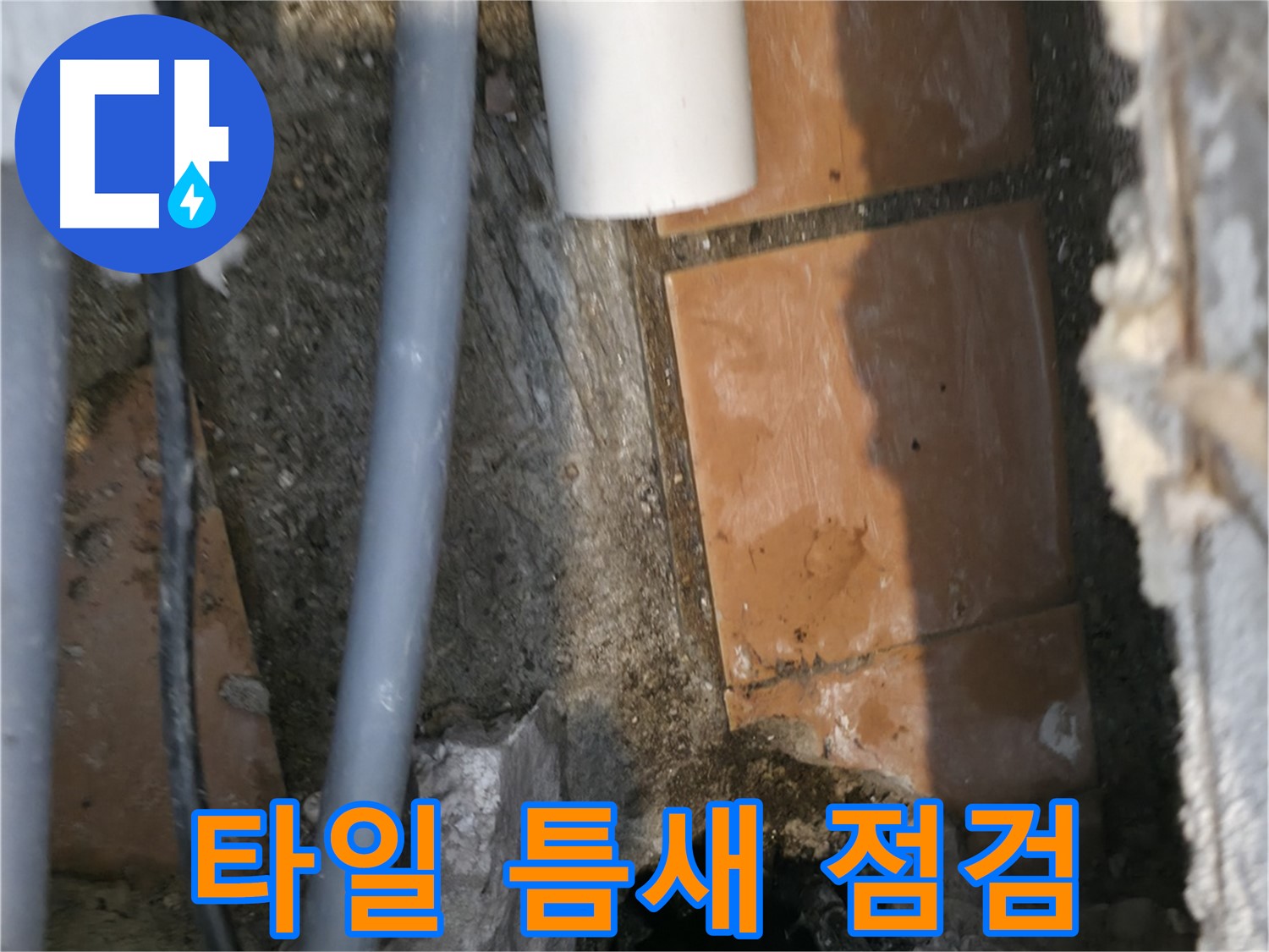 관악구 신림동 누수 - 타일 틈새 누수 가능성 꼼꼼하게 점검 중