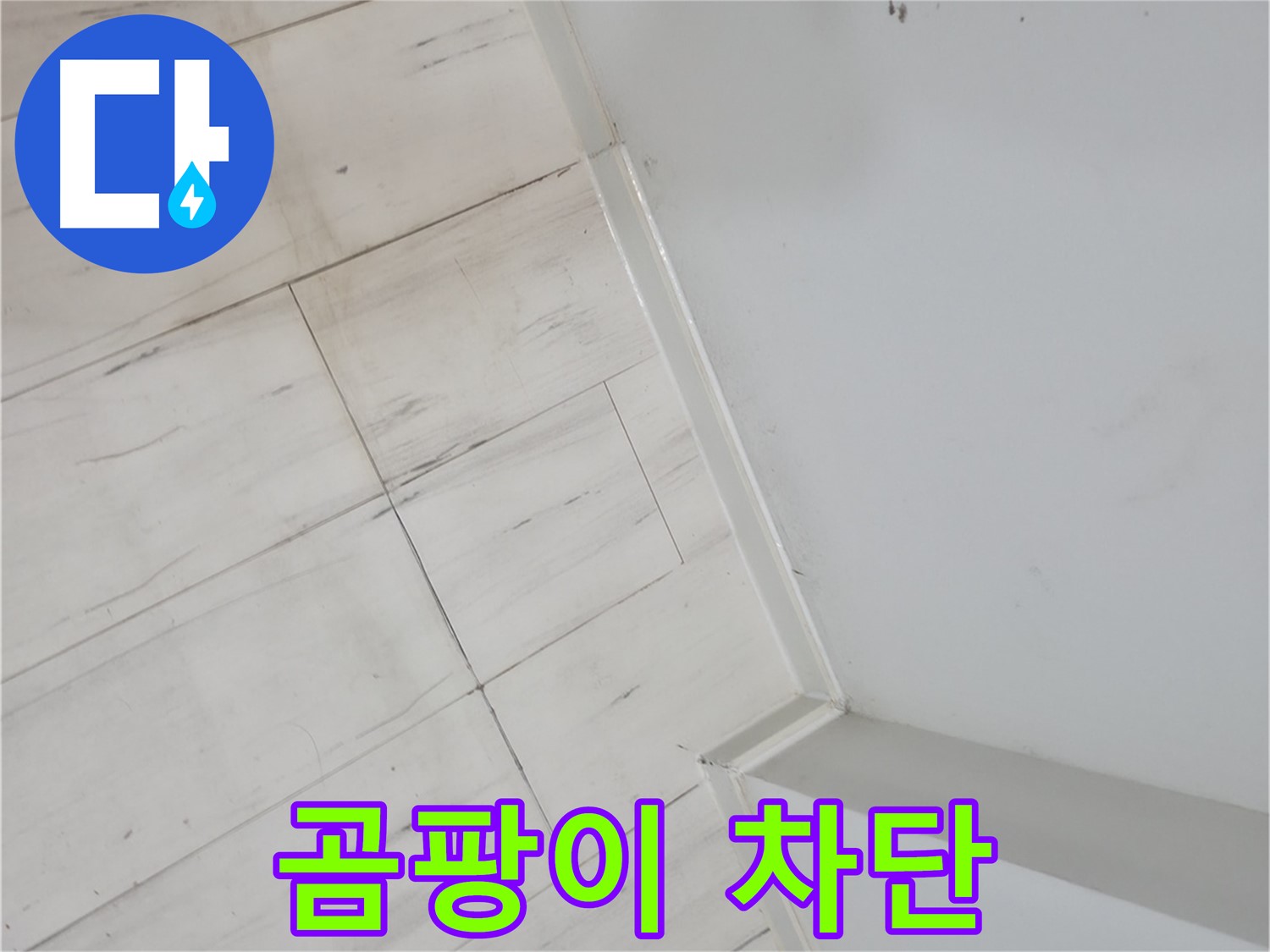 관악구 젖은 바닥 곰팡이 누수 - 건물 가치 향상 및 쾌적한 환경 조성