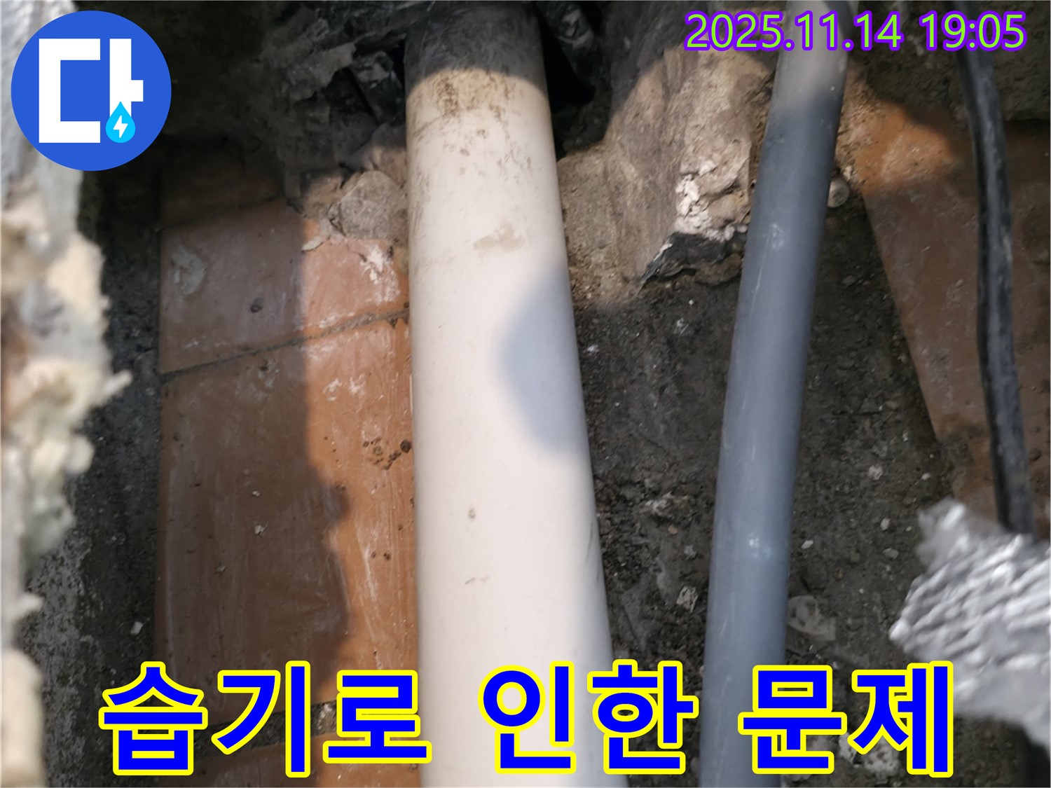 신림동 신림하이츠빌라 누수 현장에서 배관 주변 습기로 인해 발생한 곰팡이 - 건강에도 해로울 수 있습니다.