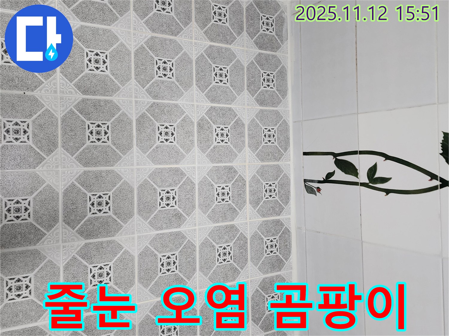 군내면 구읍리 줄눈 오염 - 곰팡이와 누수 의심, 꼼꼼 점검
