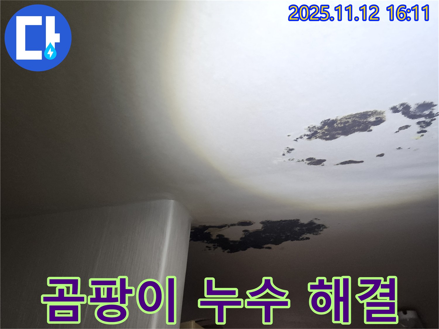군내면 누수 - 곰팡이 & 누수 고민 해결, 쾌적한 우리 집 만들기