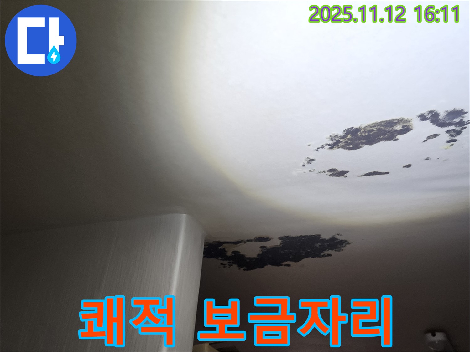 군내면 누수 - 곰팡이 천장에서 쾌적한 보금자리로 변신