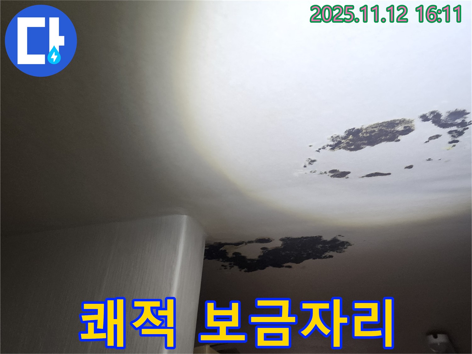 군내면 누수 - 곰팡이 천장에서 쾌적한 보금자리로 변신