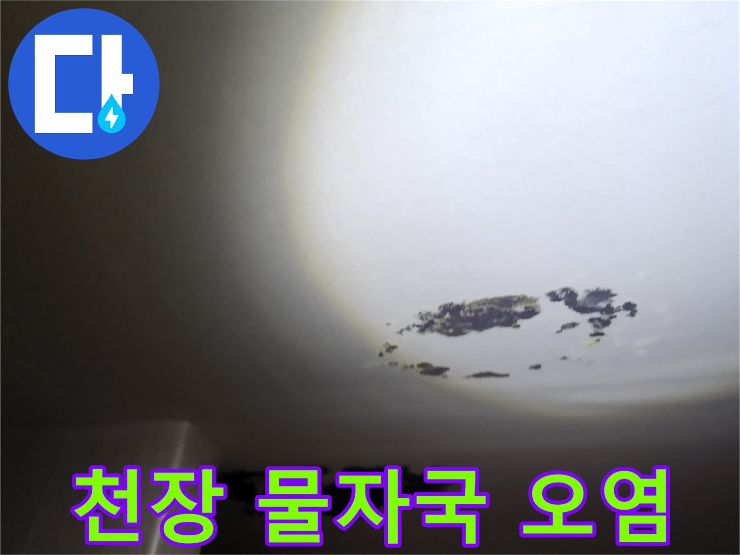 심각하게 번진 천장 벽지 곰팡이와 물 얼룩