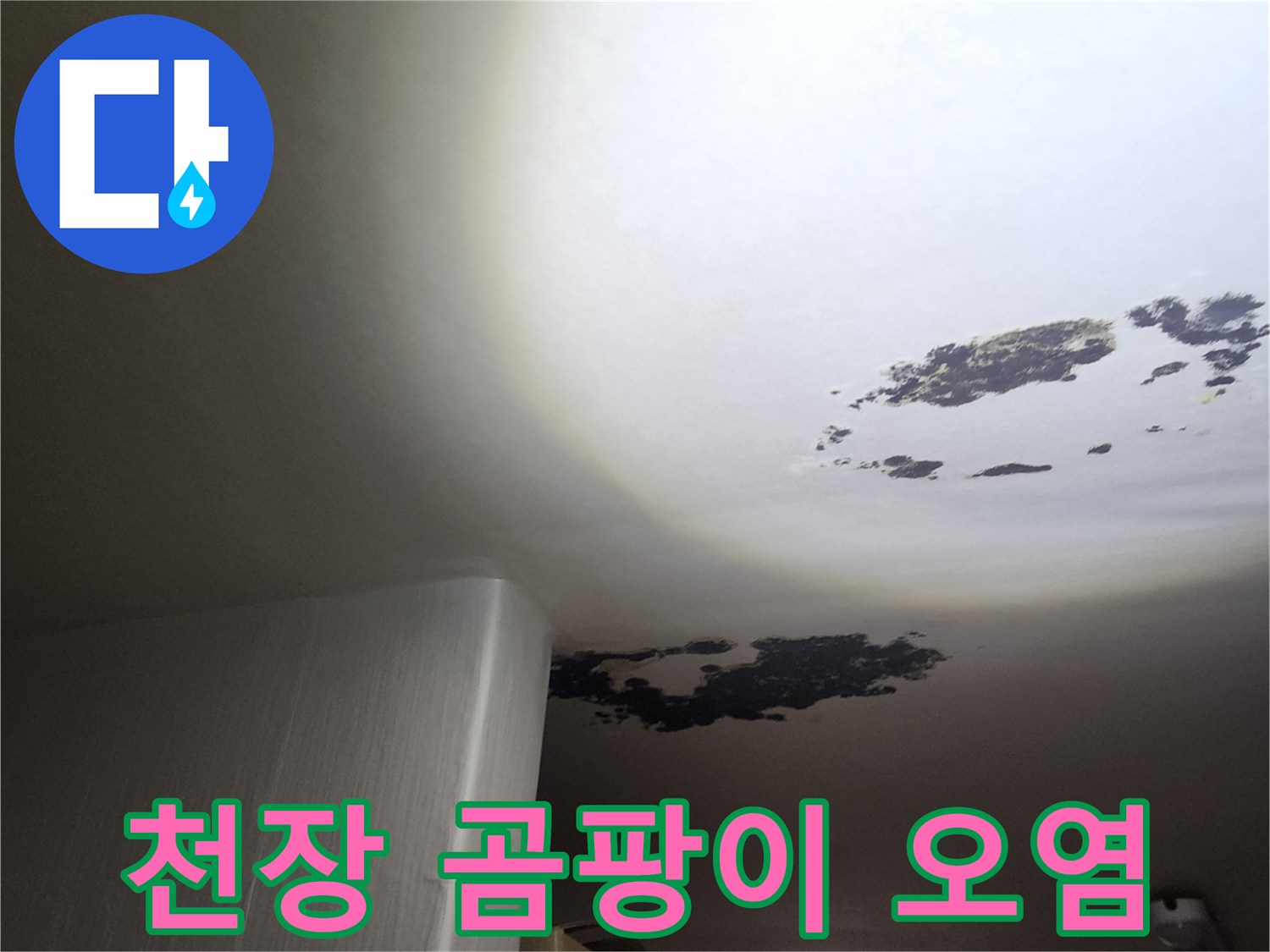 천장 마감재-검은색 곰팡이가 넓게 분포된 상태