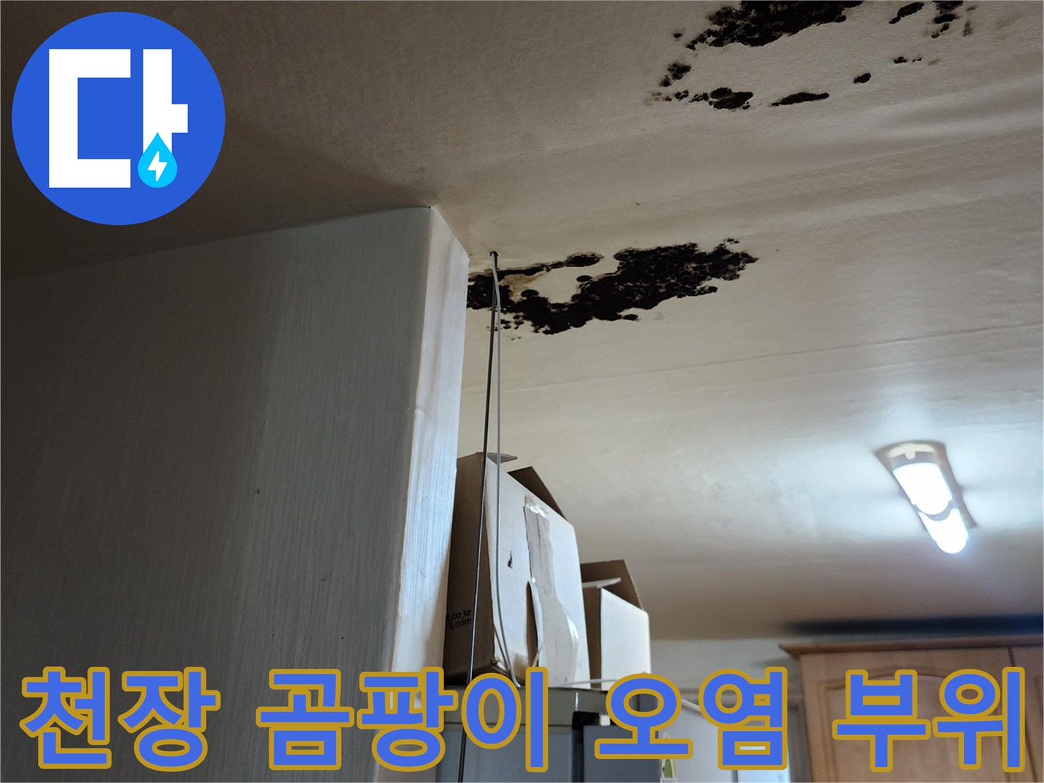 천장 마감재에 퍼진 검은색 곰팡이와 습기 흔적 사진