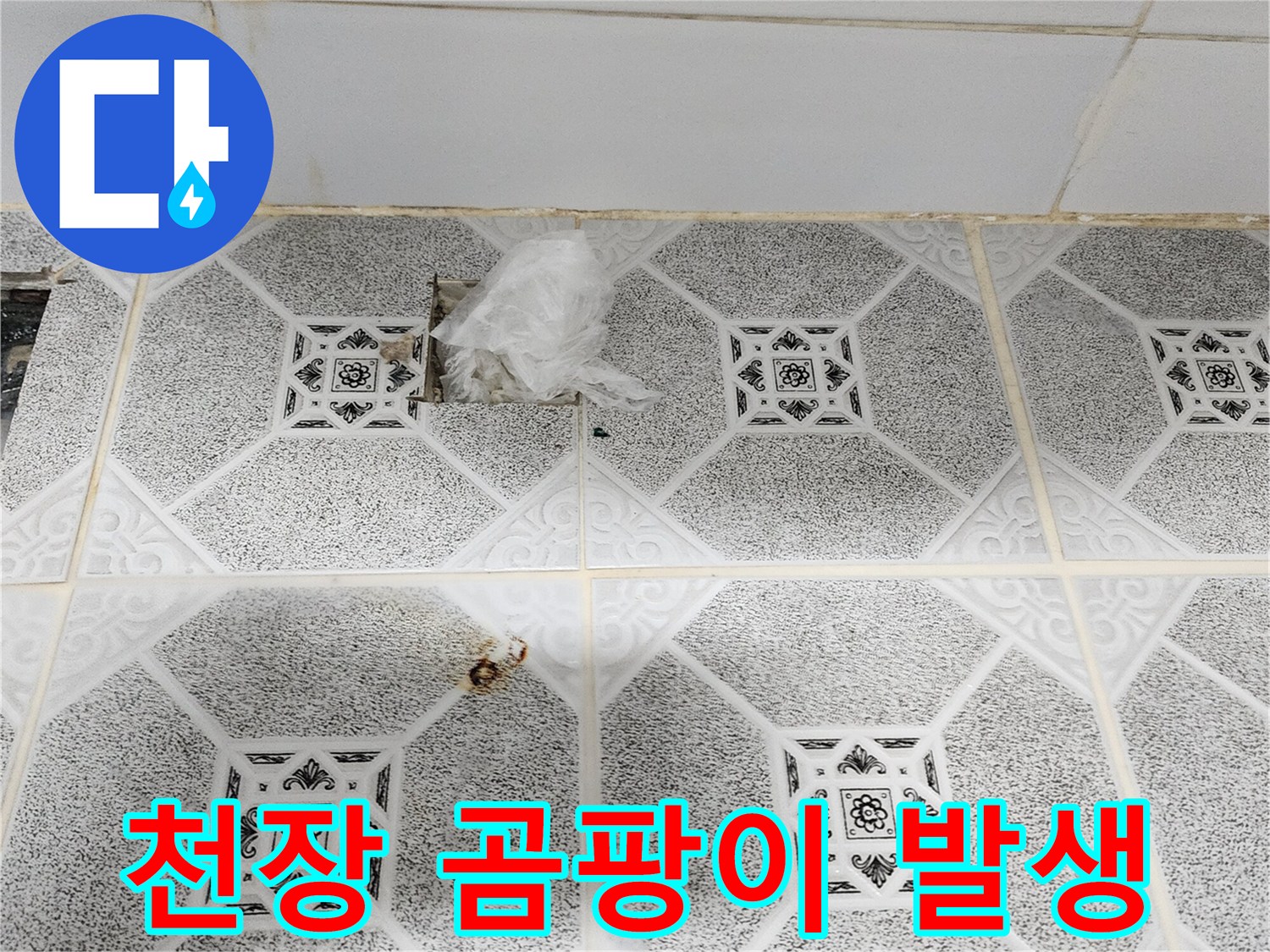 천장재에 퍼져 있는 곰팡이와 습기 오염 사진