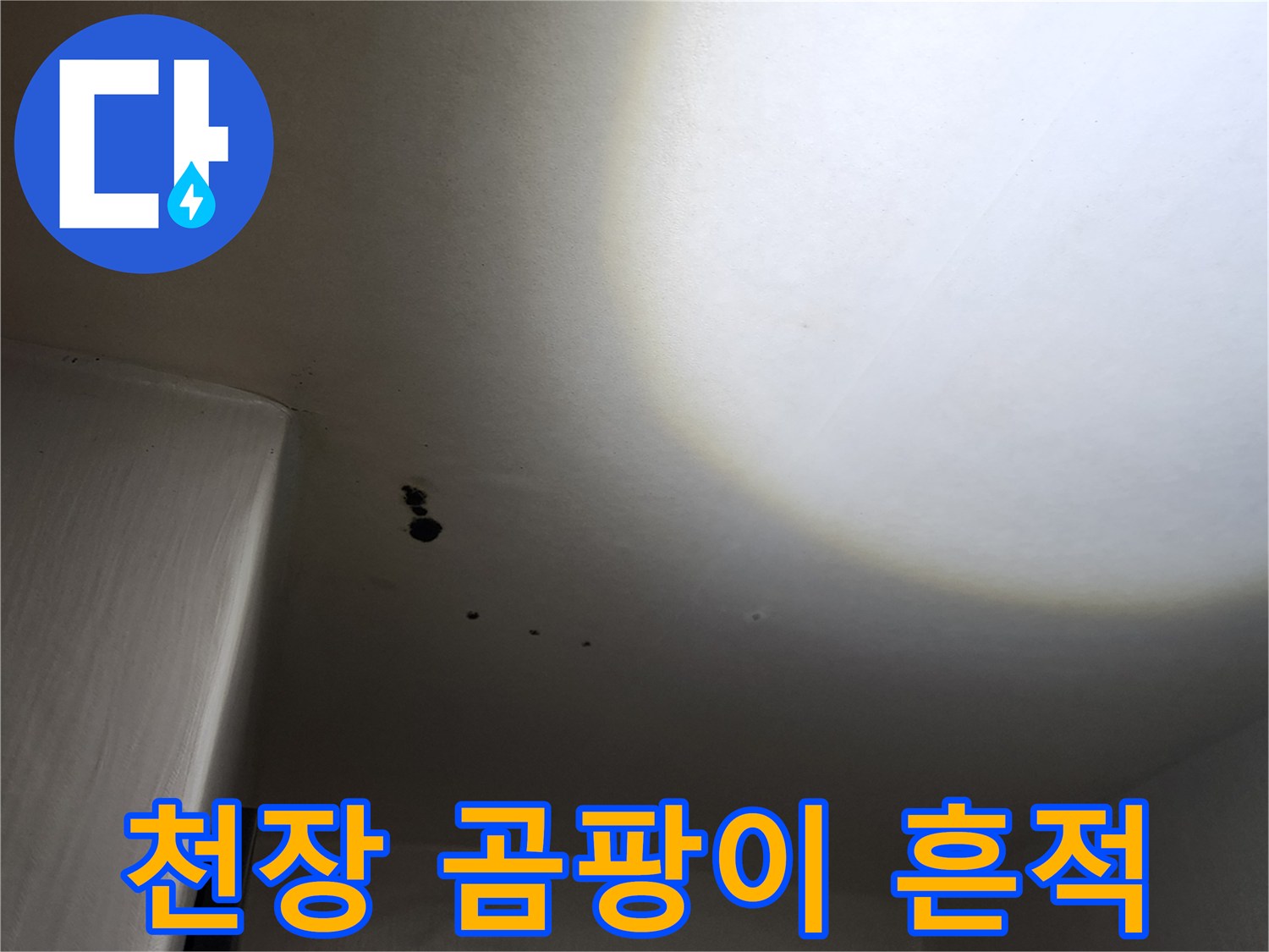 포천 구읍리 천장-물샘으로 인한 곰팡이와 습기 오염