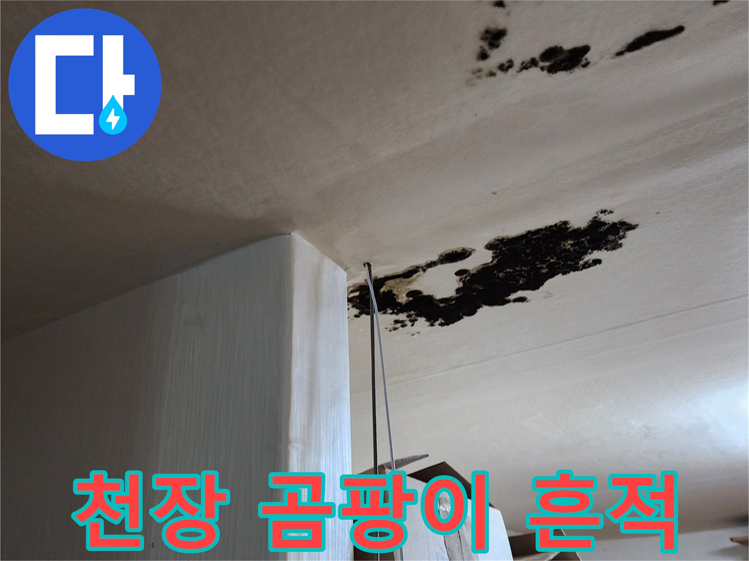 포천 구읍리 현장-천장에 발생한 검은 곰팡이와 습기 자국