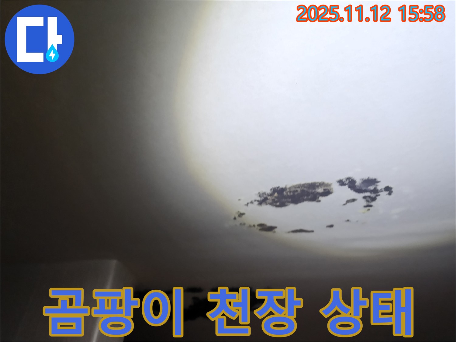 포천 군내면 곰팡이 천장 - 곰팡이로 인해 손상된 천장 모습입니다. 누수와 곰팡이 문제를 동시에 해결해야 합니다.