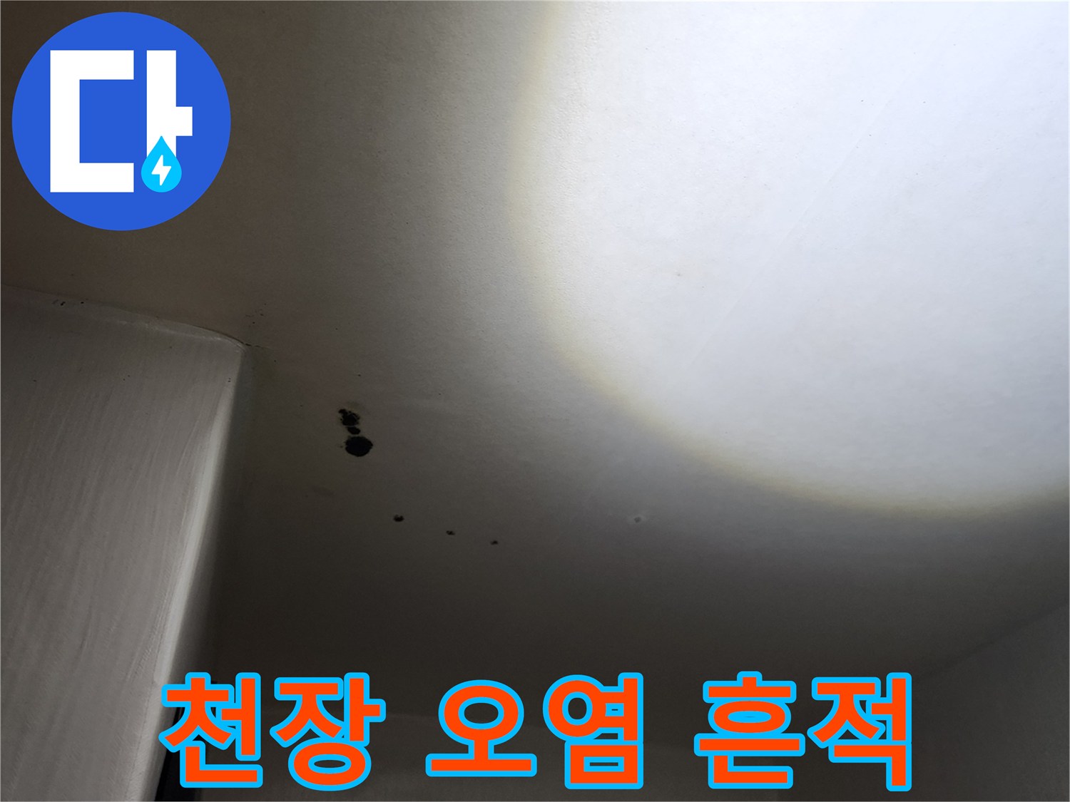 포천 누수 현장-곰팡이가 발생한 천장 마감재 상태
