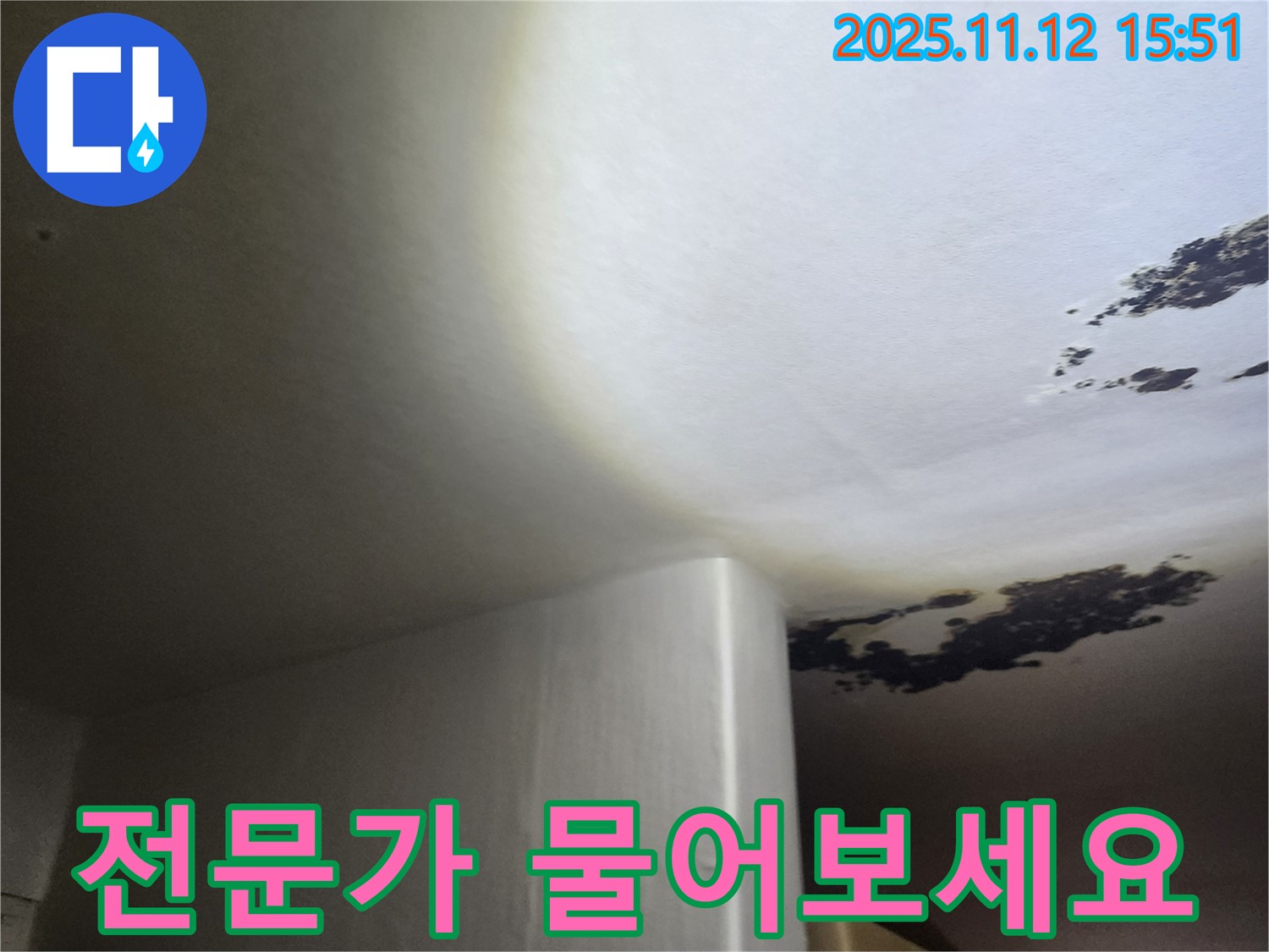 포천시 군내면 - 곰팡이 얼룩 심한 천장, 혹시 누수? 전문가에게 물어보세요!