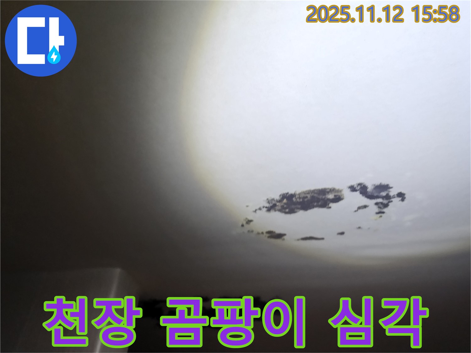 포천시 군내면 천장 곰팡이 - 누수로 인해 천장에 곰팡이가 심각하게 발생한 현장 사진입니다.