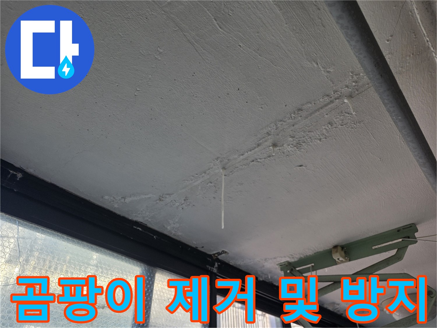 불광동 샤인쉐르빌 곰팡이 - 누수 후 곰팡이 제거 및 방지 작업