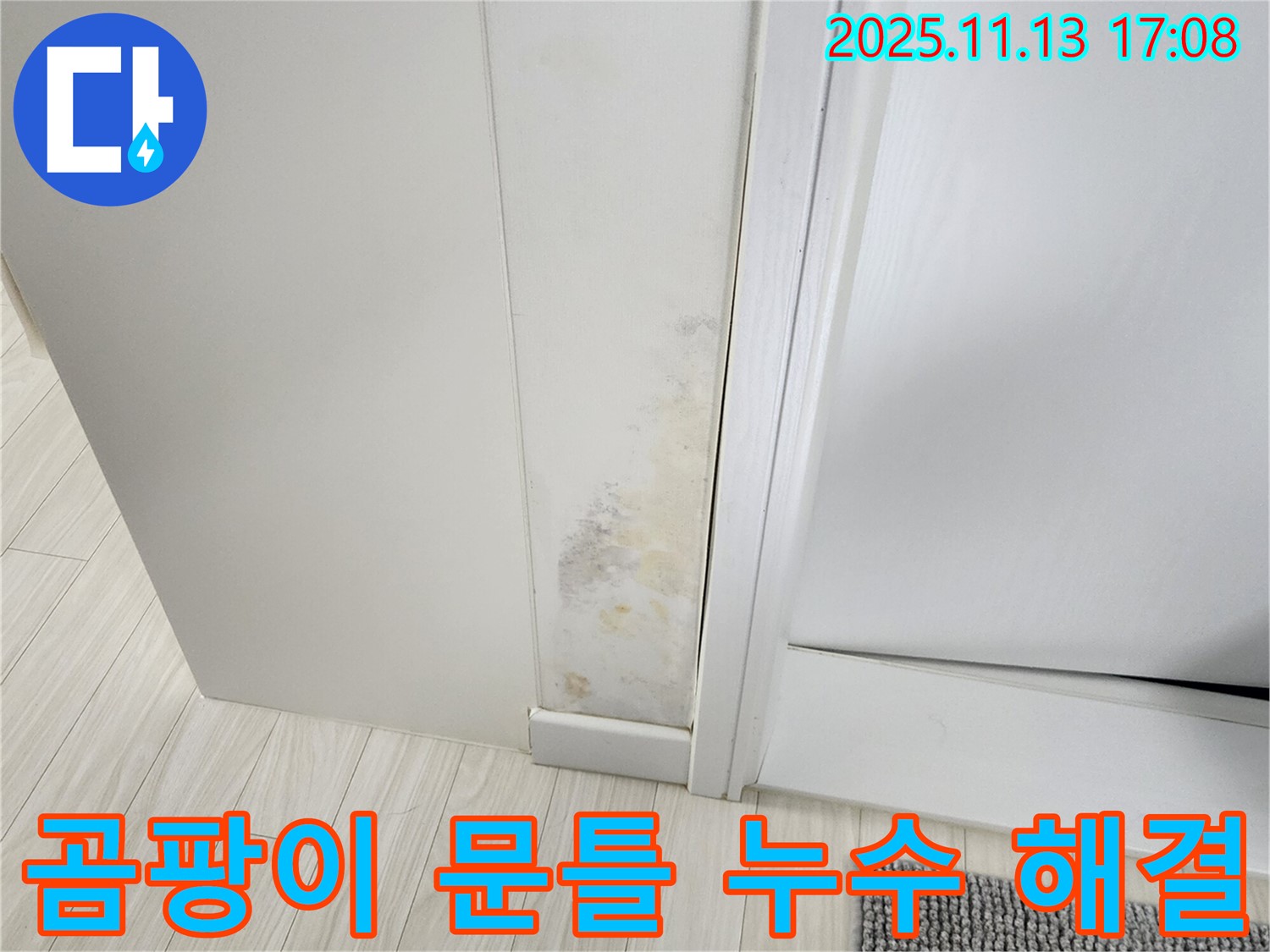 곰팡이 핀 문틀 - 확실한 누수 진단과 곰팡이 제거 솔루션으로 깨끗하게