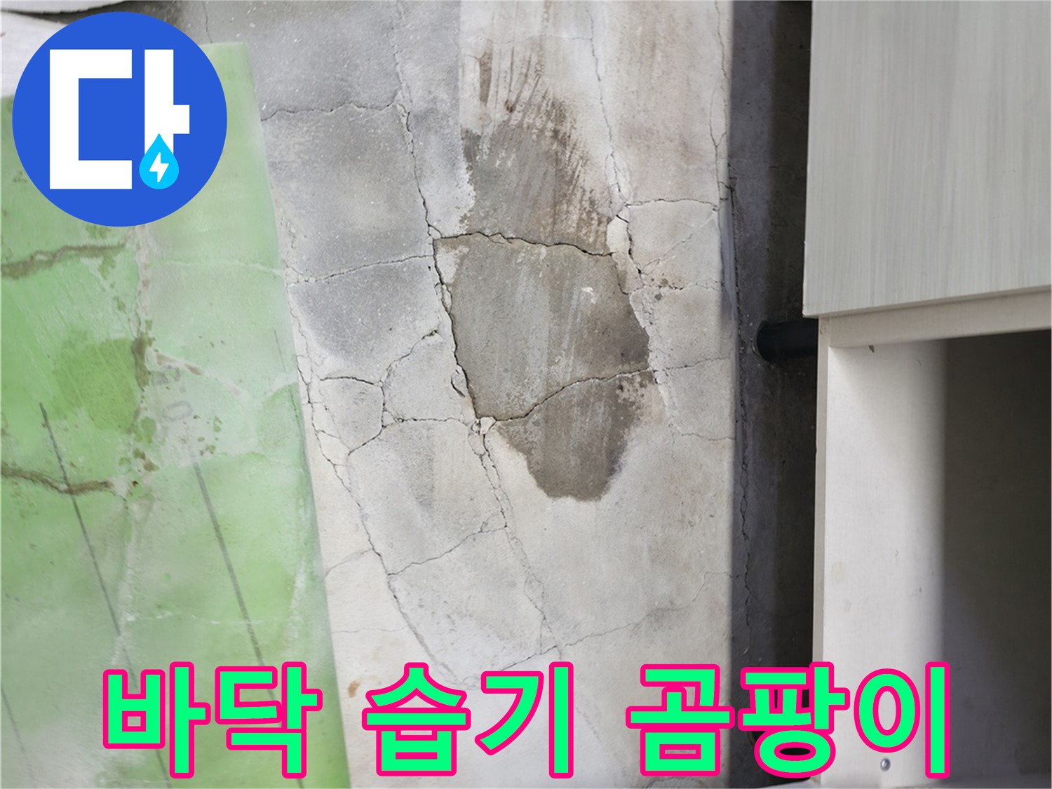 포천 누수탐지 - 신읍동 선경빌라 바닥 습기, 곰팡이 발생 위험 증가