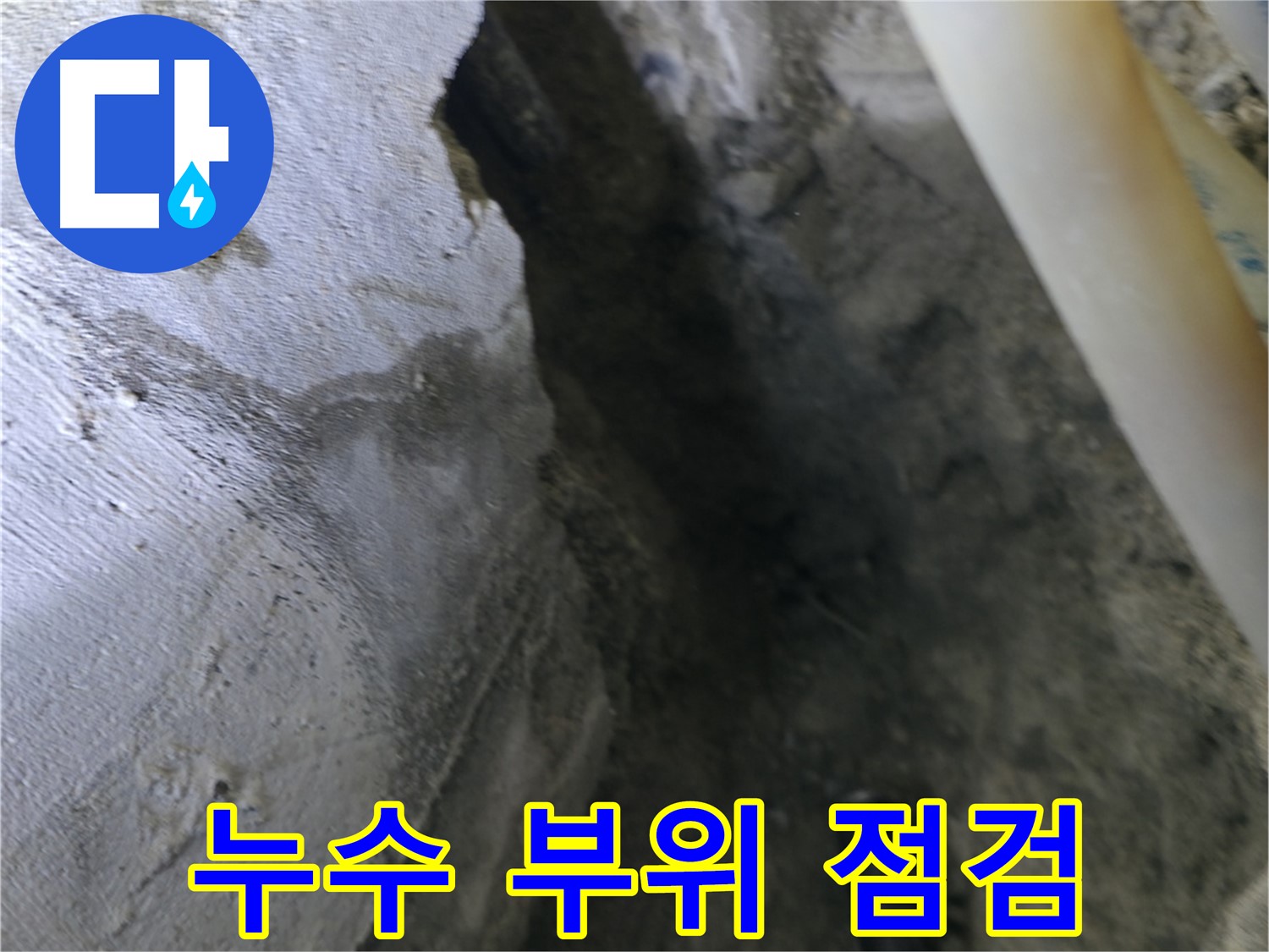 천장 누수 - 부위를 집중적으로 점검하고 있습니다.