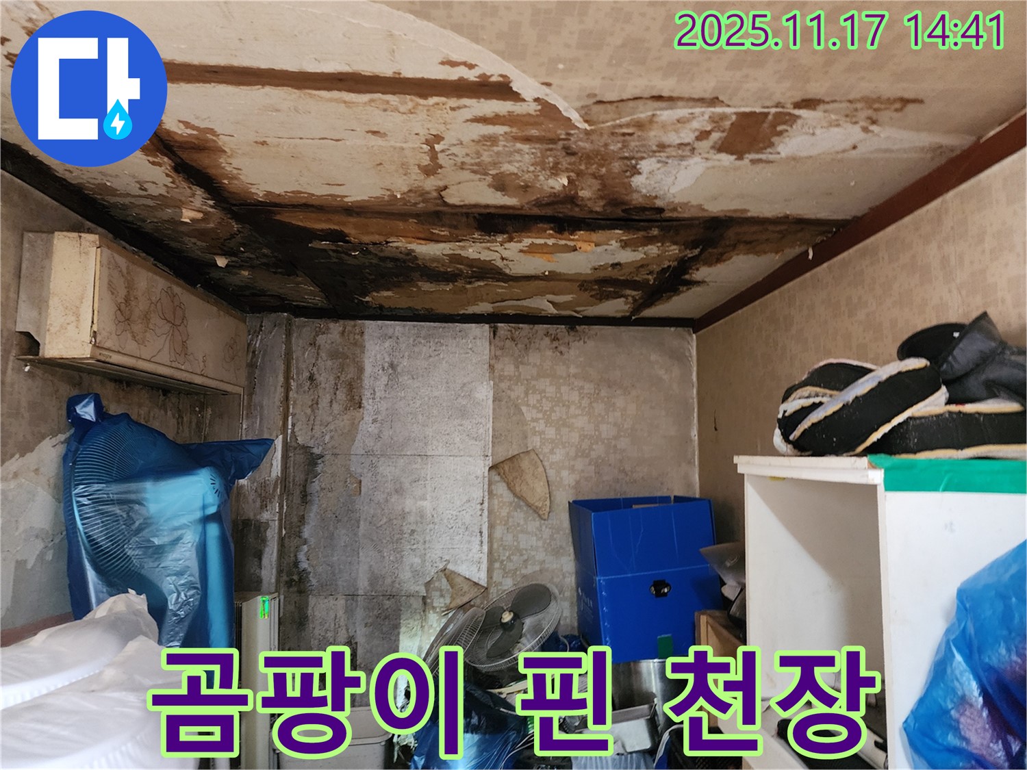 용인 둔전리 천장 누수 - 곰팡이 발생으로 인한 천장 손상 사진입니다.