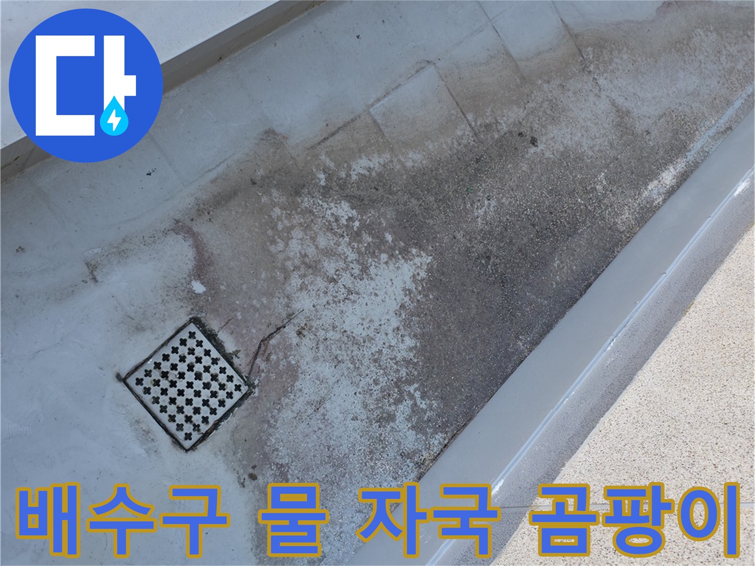금천구 베란다 배수구 주변 물 자국 및 곰팡이 - 누수 문제를 해결하기 위한 중요한 단서입니다.