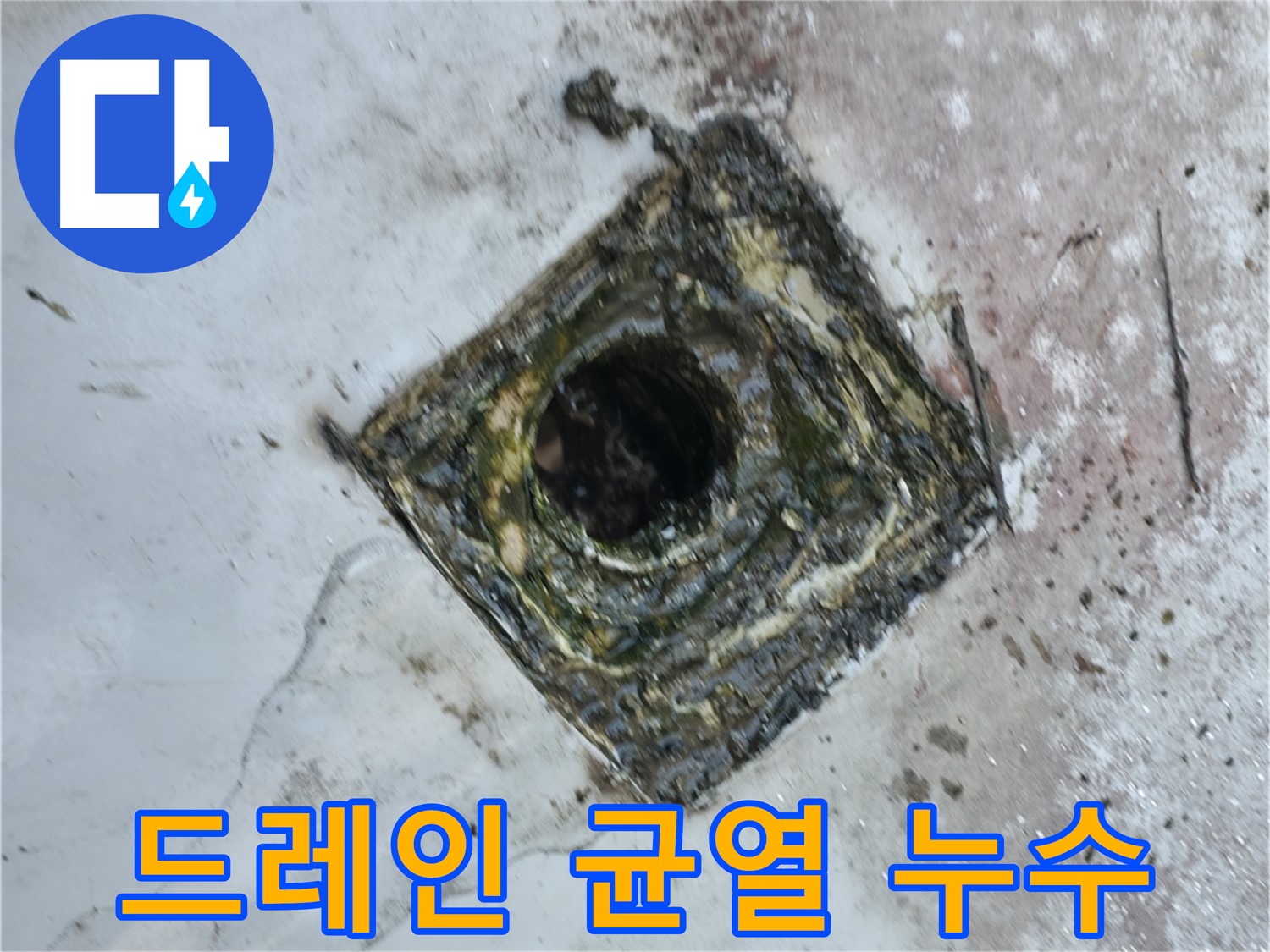 금천구 옥상 드레인 주변 균열 - 틈새로 빗물 침투