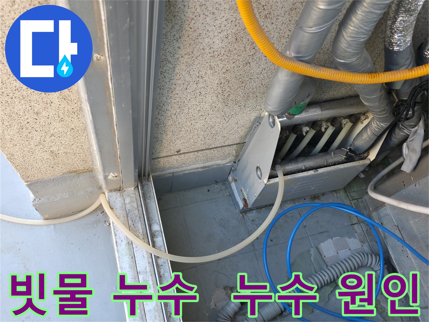 빗물 누수의 원인을 찾기 위한 정밀 탐지 작업 - 금천구 독산동 누수 문제 해결 전문.