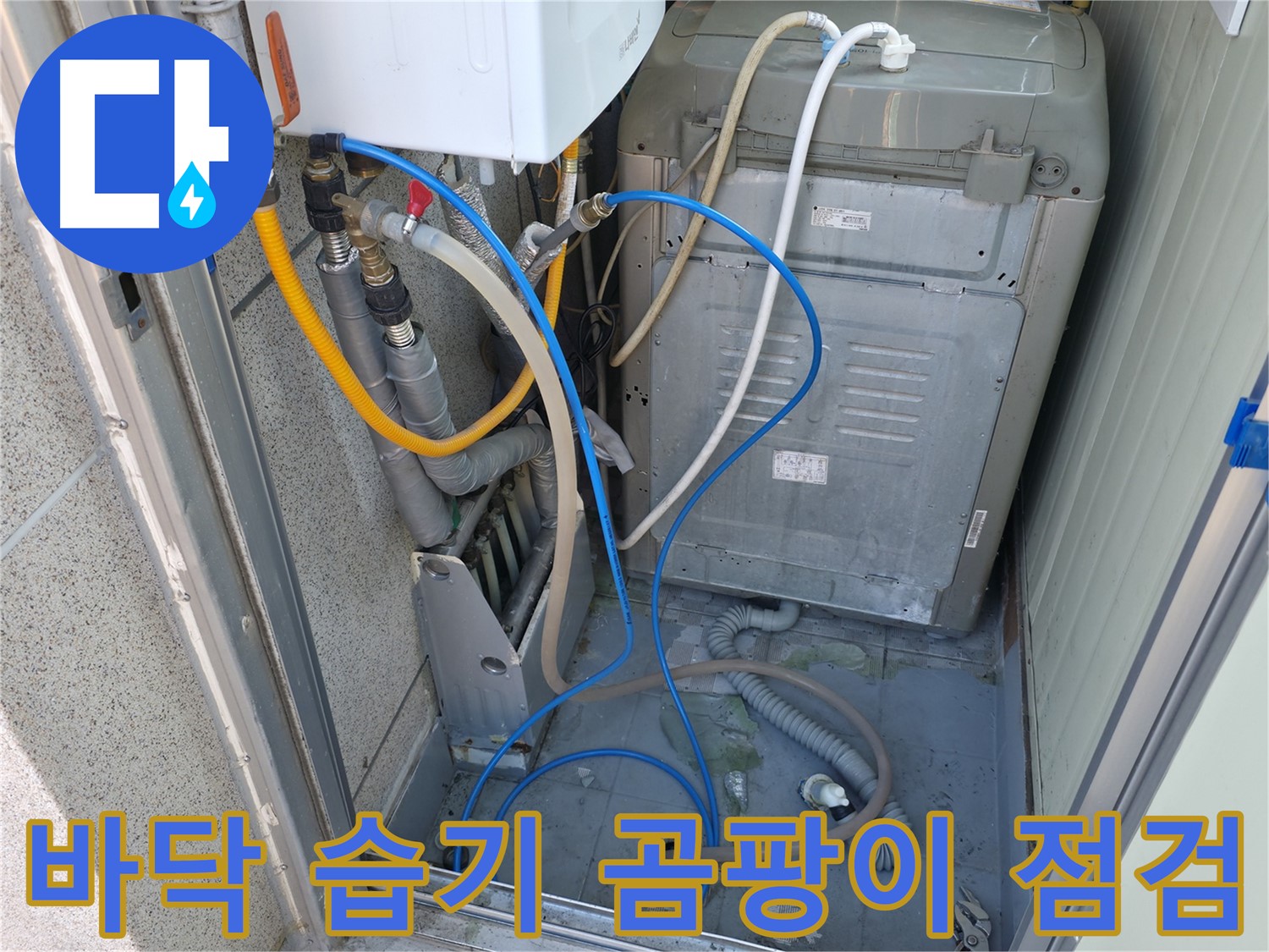 독산동 현진아트빌 세탁실 누수 - 세탁기 주변 바닥의 습기 및 곰팡이 상태를 점검하고 있습니다.