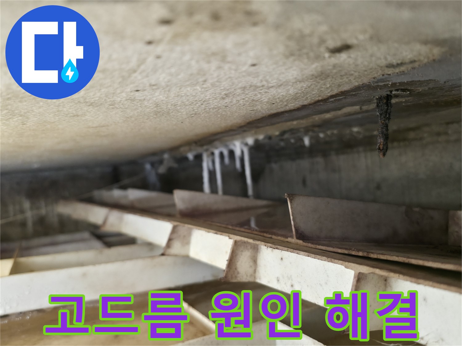 독산동 현진아트빌 슬라브 누수 - 석회수 고드름 발생 원인을 분석하고 최적의 해결책을 제시합니다.