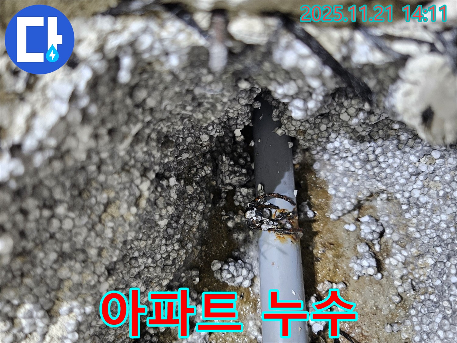 오래된 아파트에서 누수가 발생하는 모습 - 공동 배관 문제일 가능성도 있습니다.
