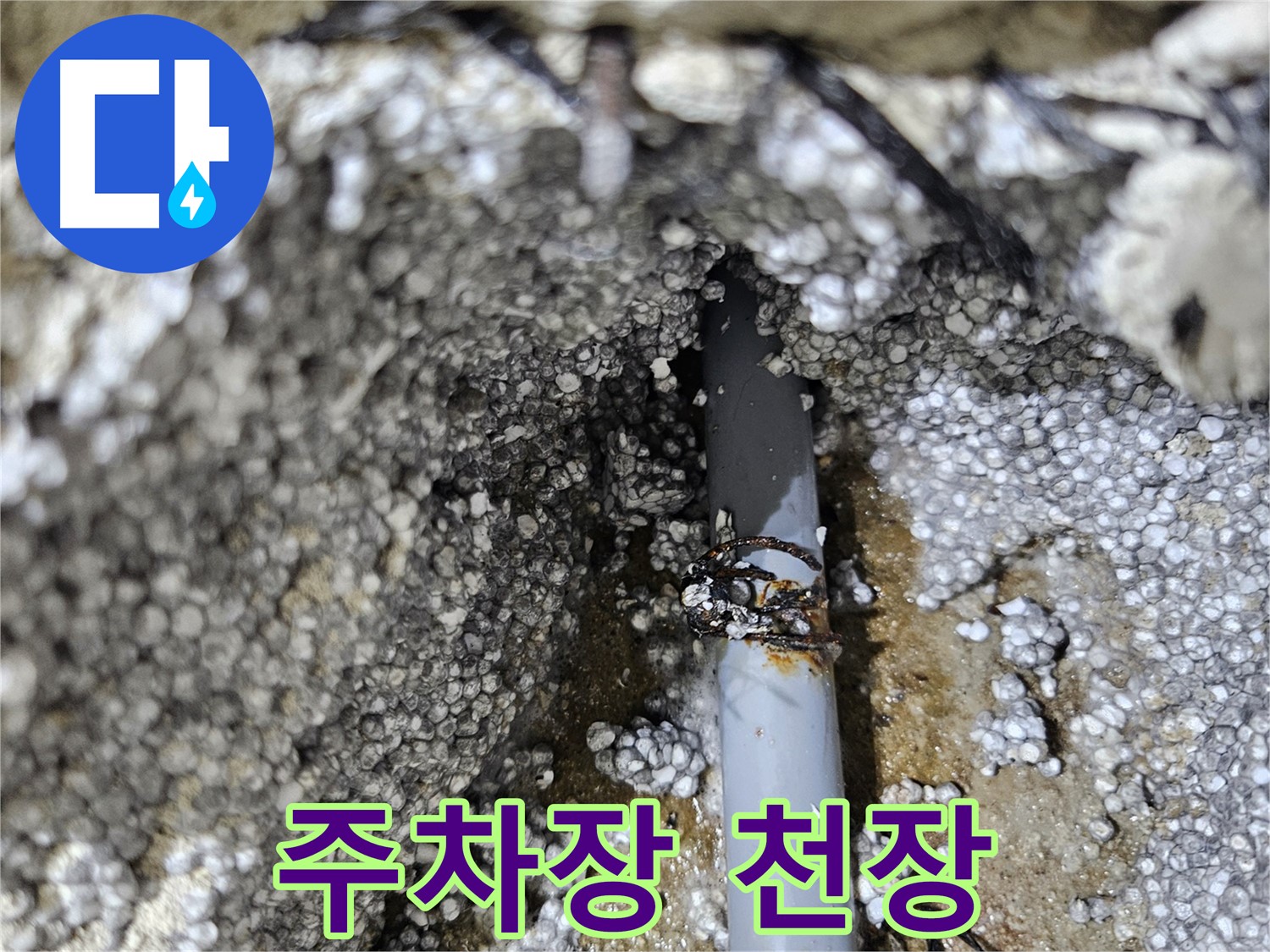 이천 관고동 누수 - 주차장 천장에서 누수 발생