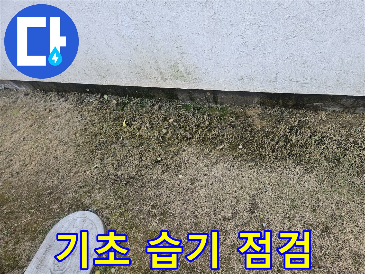 이천 아리역로 누수 - 건물 기초 누수 및 주변 지반 습기 점검