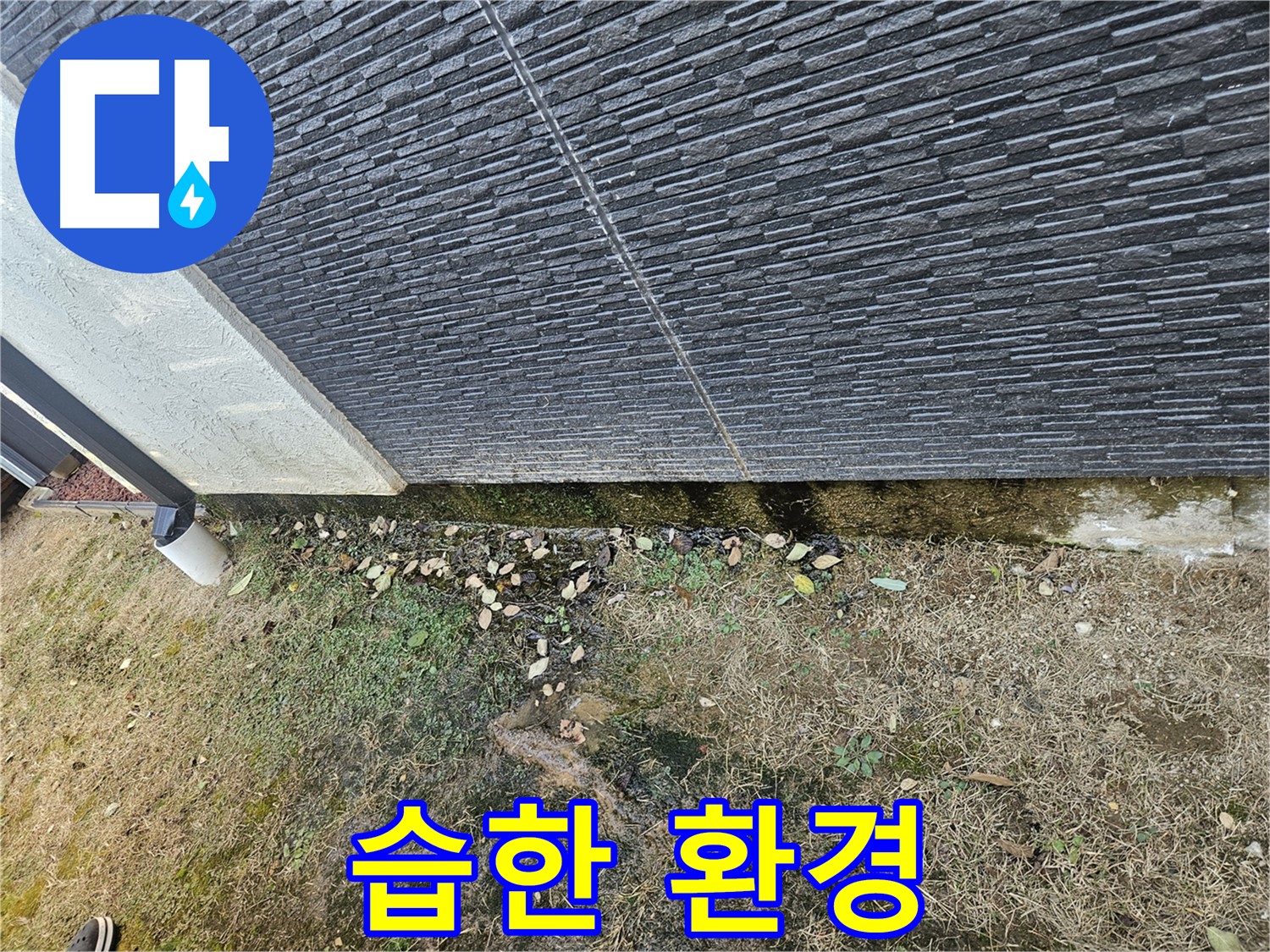 이천시 마장면 아리역로 주변 외벽 누수 의심 - 습한 환경 - 곰팡이 번식 주의