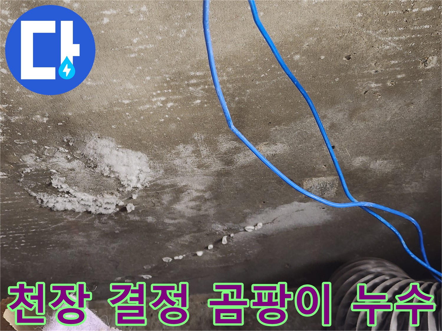 기흥구 - 콘크리트 천장 결정 - 곰팡이 발생 - 완벽 누수 해결