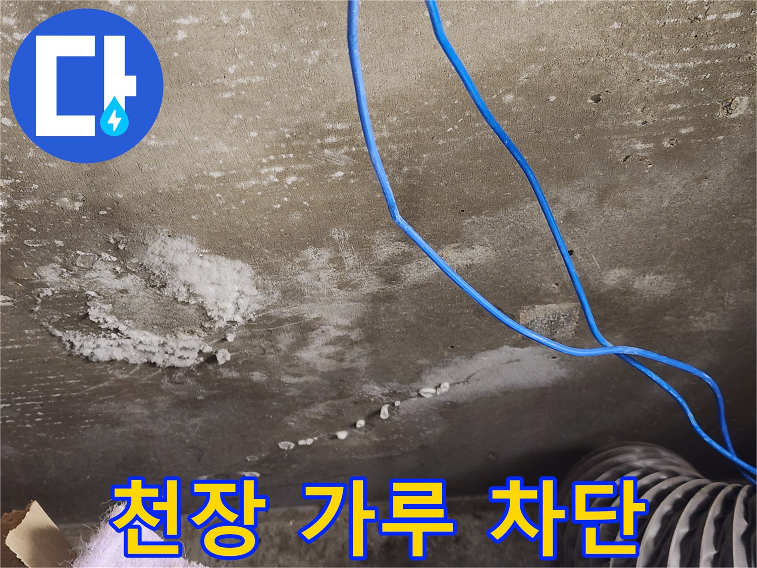 기흥구 콘크리트 천장 - 하얀 가루 백화현상 차단 - 건물 수명 연장