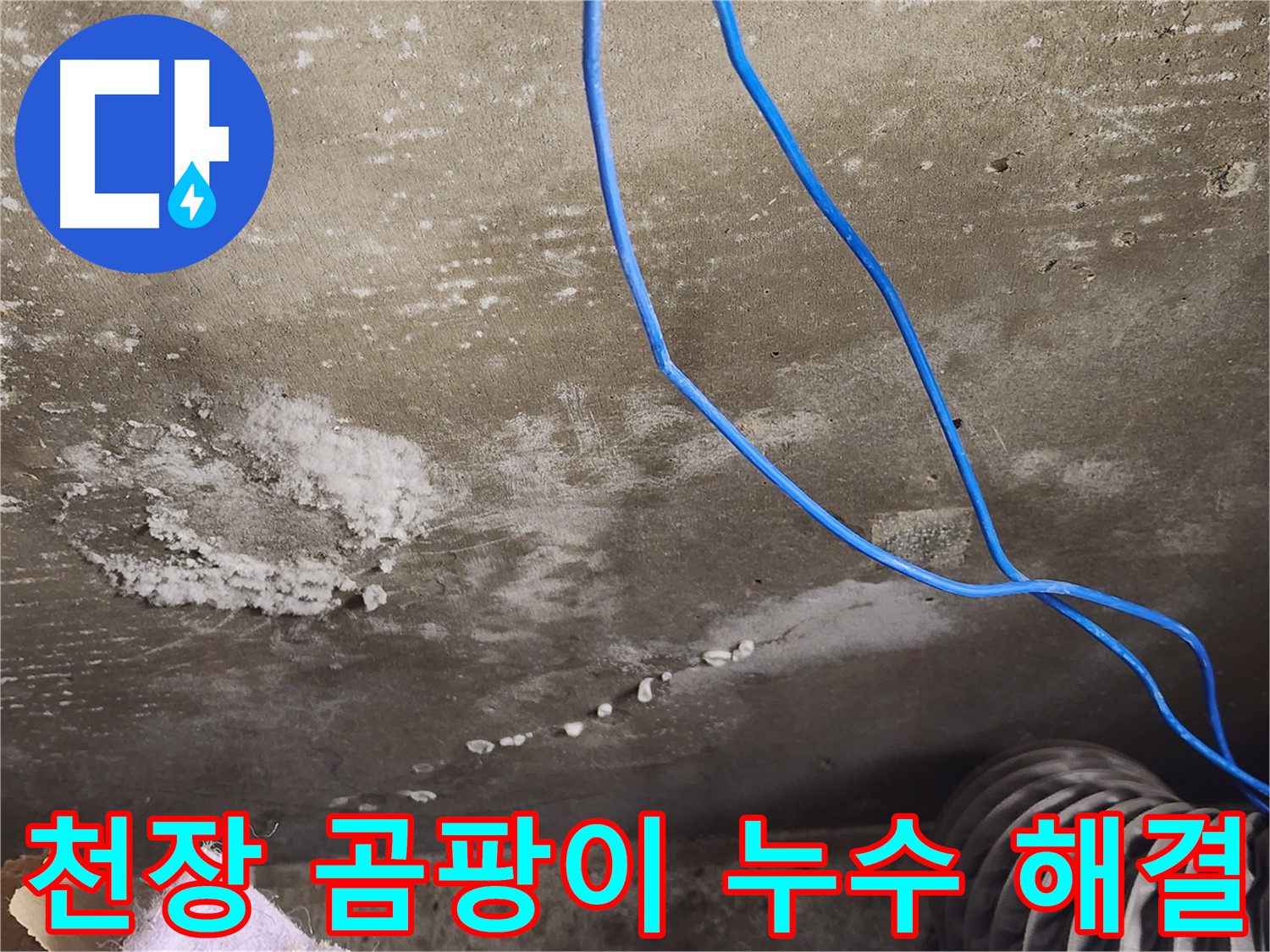 용인 콘크리트 천장 - 곰팡이 누수 해결 - 건강 위협 차단