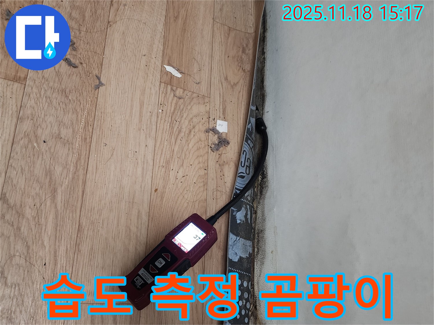 수원 정자동 누수 현장 - 습도 측정을 통한 곰팡이 성장 가능성 예측 과정