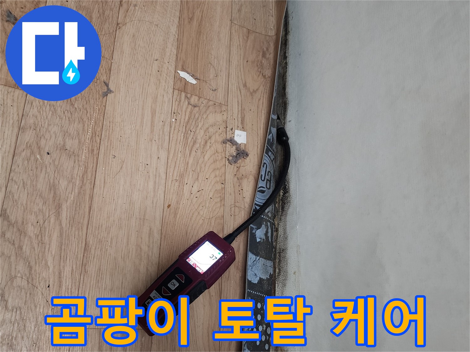 장안구 누수탐지 - 곰팡이, 누수, 습기 토탈 케어 서비스 제공