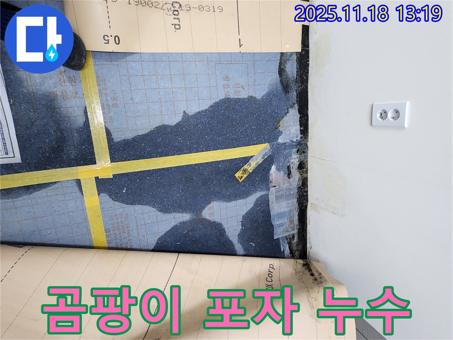 진목리 누수, 장판 밑 물, 곰팡이 포자가 가득한 위험한 상황을 보여줍니다.