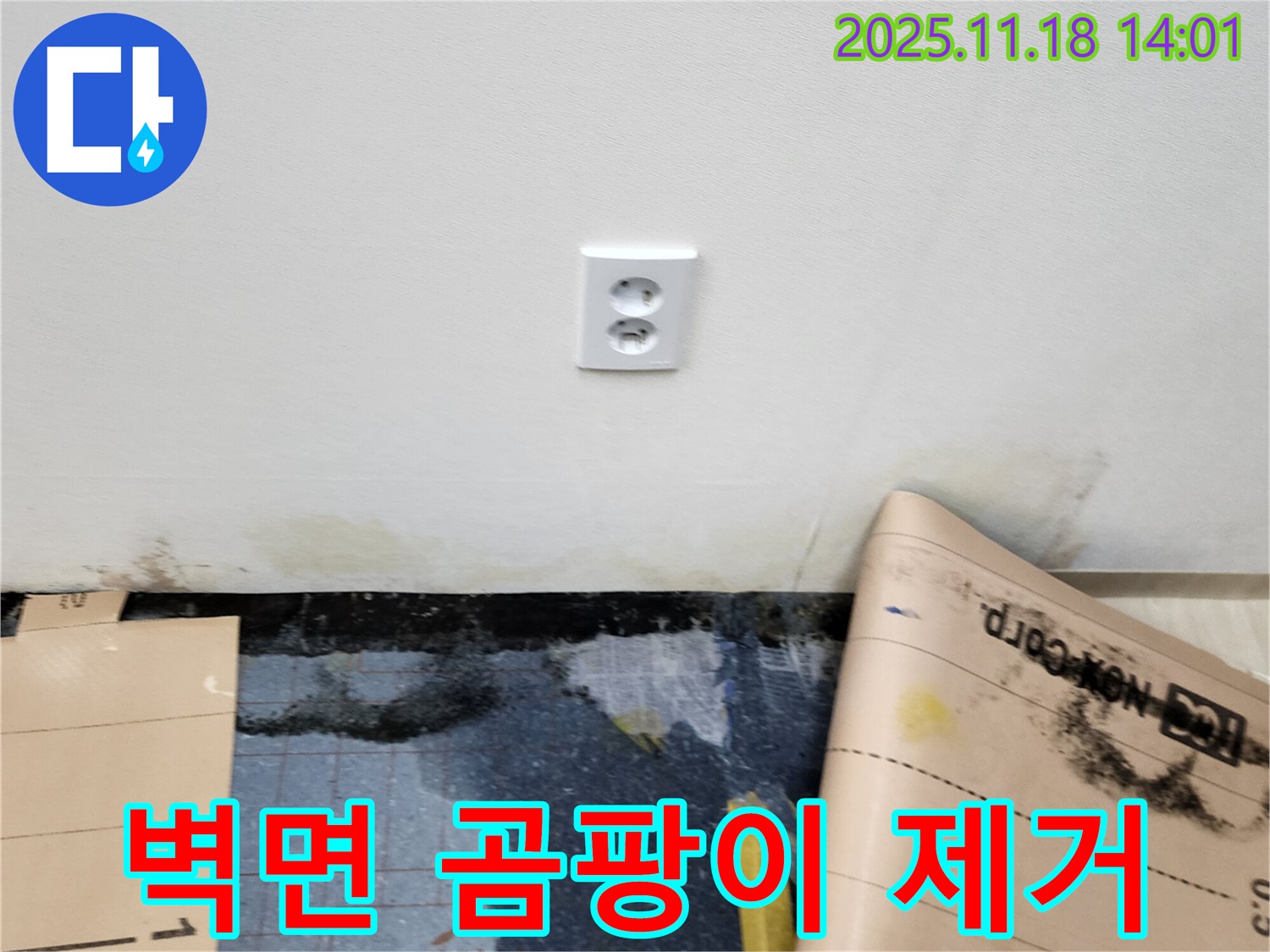 콘센트 주변 벽면 곰팡이 - 포천시 내촌면 진목리 누수, 친환경 약품으로 곰팡이 완벽 제거 시공!