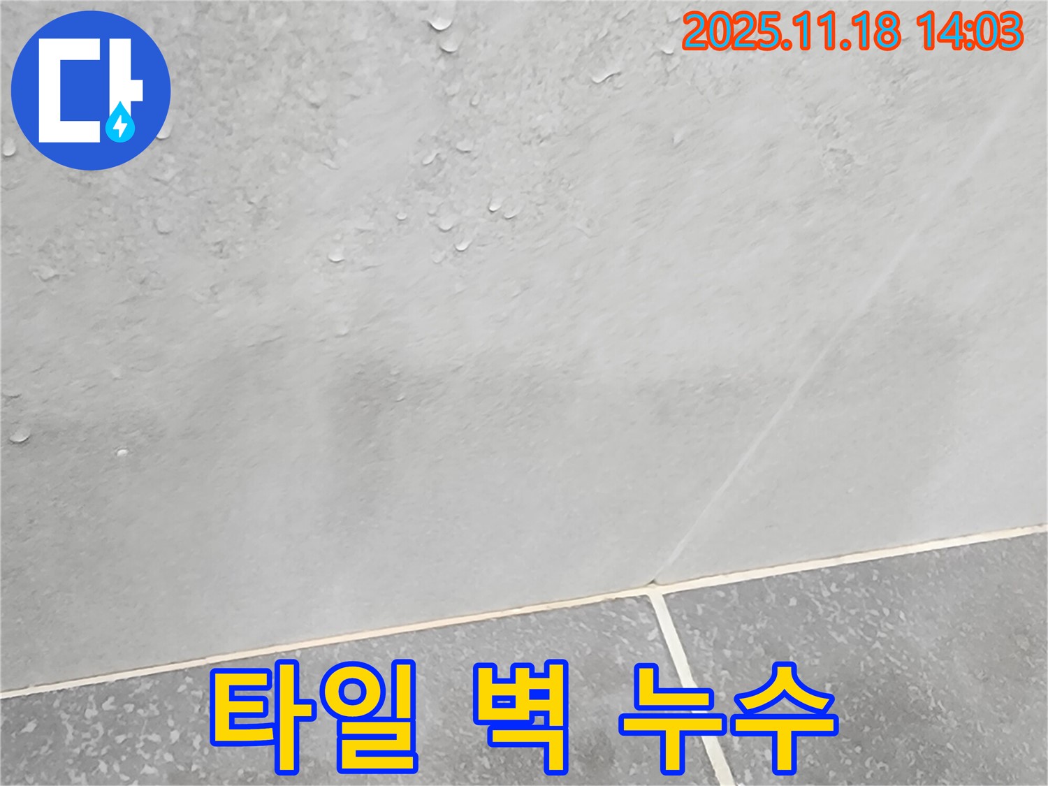 타일 벽 누수 - 고객 만족 최우선, 최고의 서비스