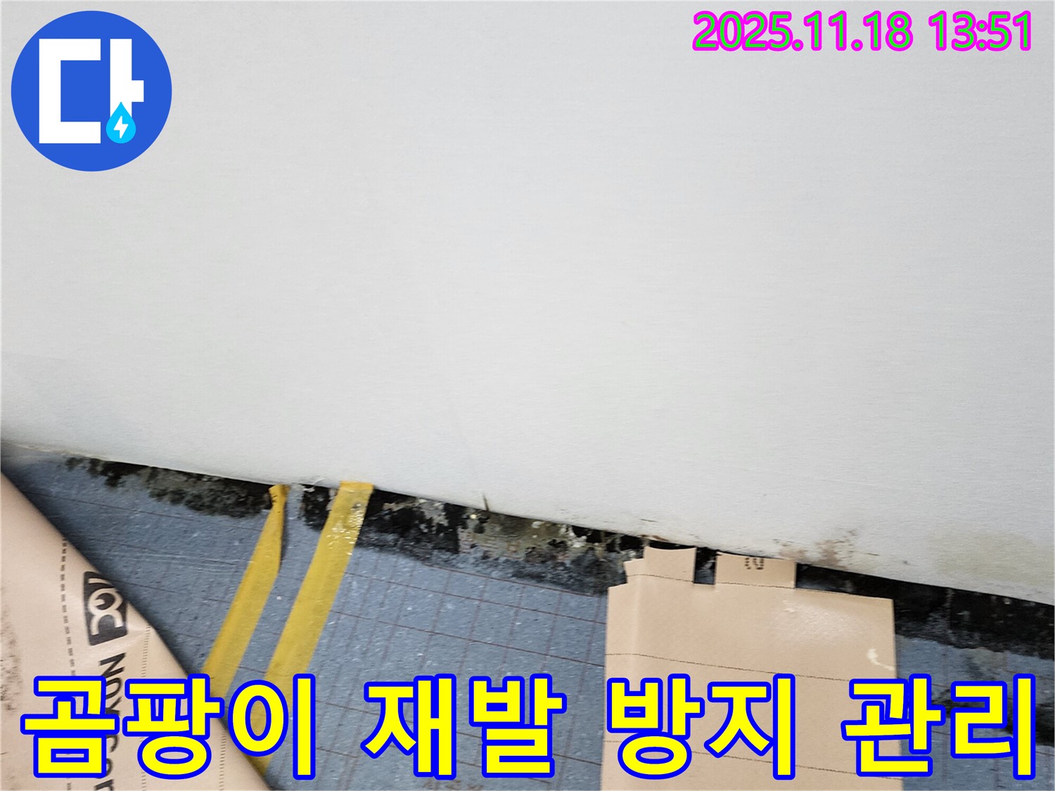 포천시 내촌면 누수 현장 - 곰팡이 재발 걱정은 이제 그만! 꼼꼼한 시공과 철저한 관리로 안심을 드립니다.