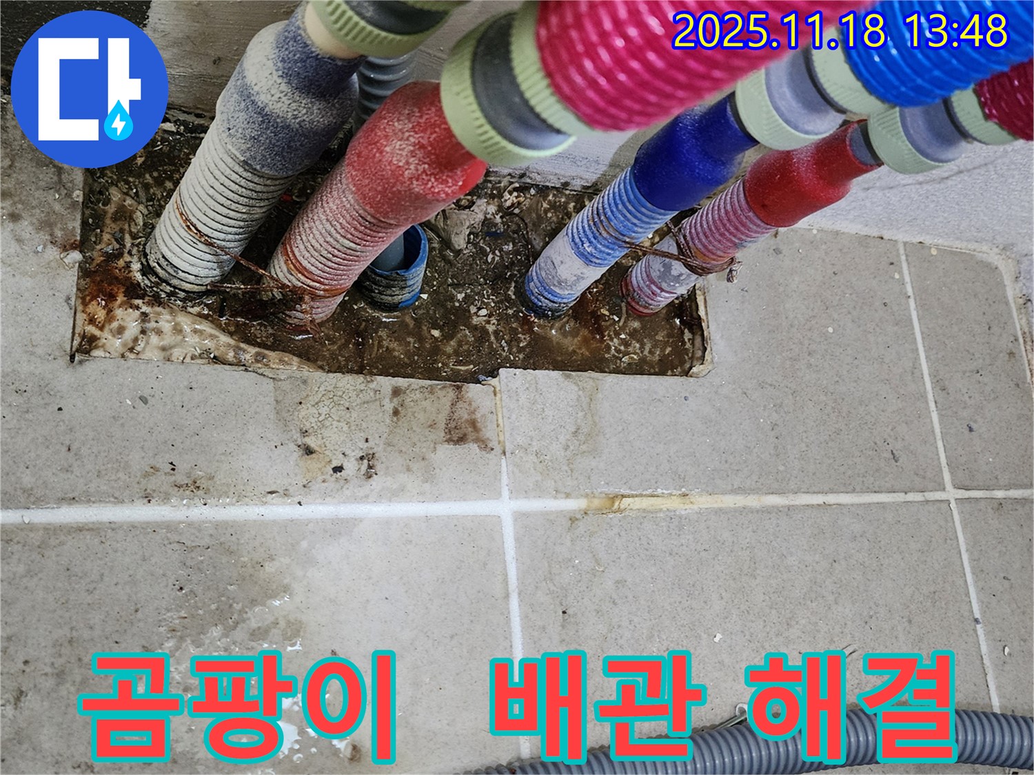 포천시 내촌면 진목리 누수 - 곰팡이와 함께 사라진 배관 문제, 쾌적한 환경으로!