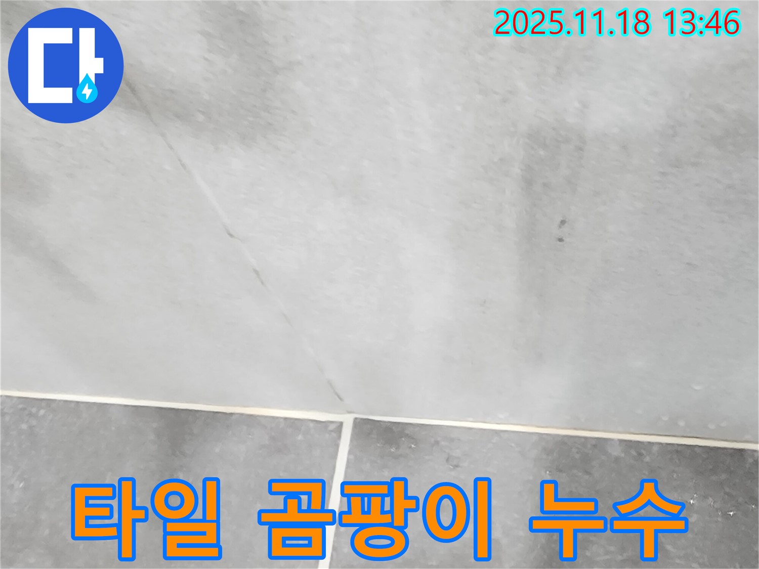 포천시 내촌면 진목리 타일 곰팡이 - 누수 원인을 즉시 해결하여 쾌적한 환경으로!