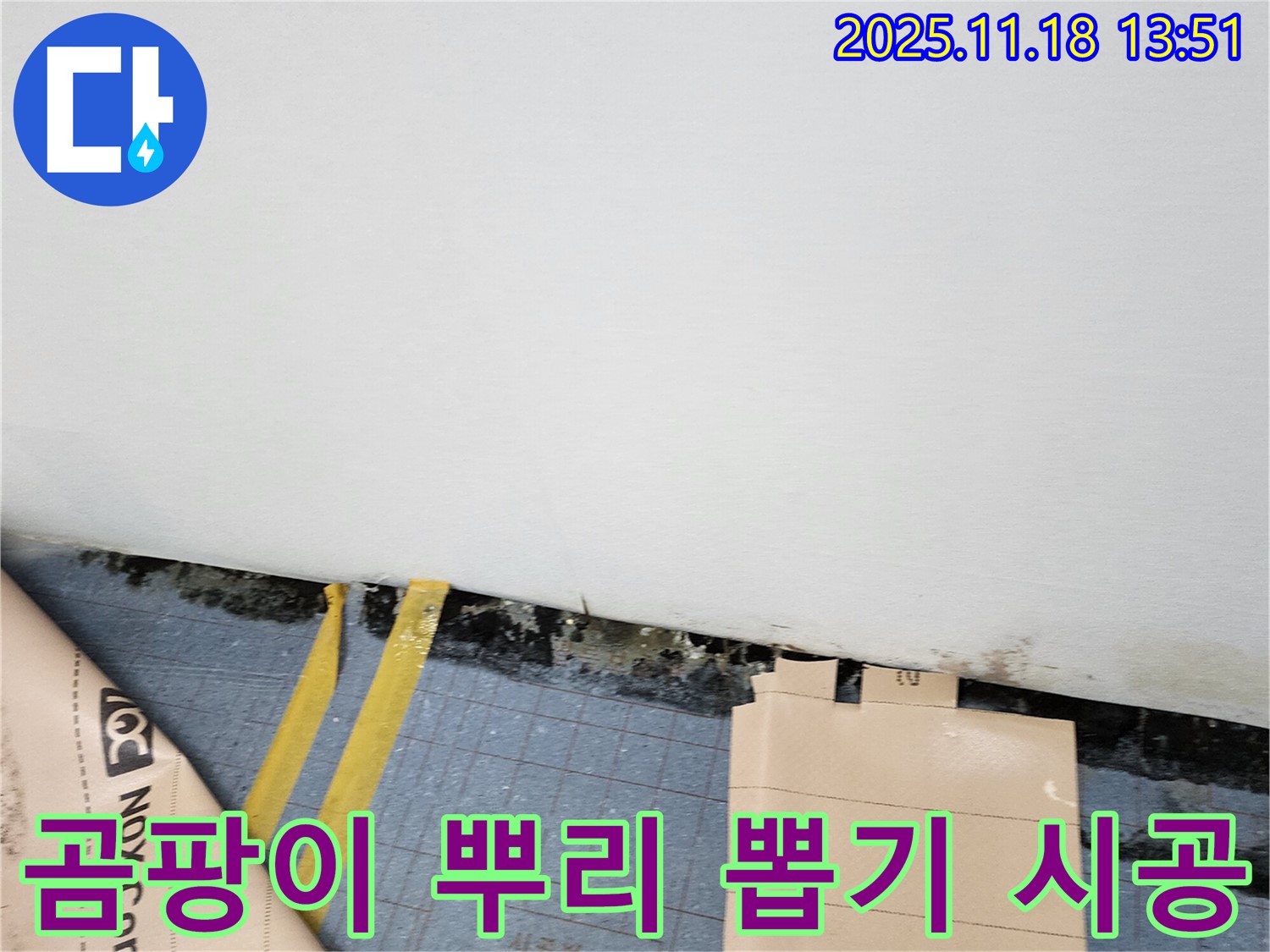 포천시 진목리 누수 현장 - 곰팡이 뿌리까지 뽑아 완벽하게 제거하고, 재발 방지 시공까지 해드립니다.