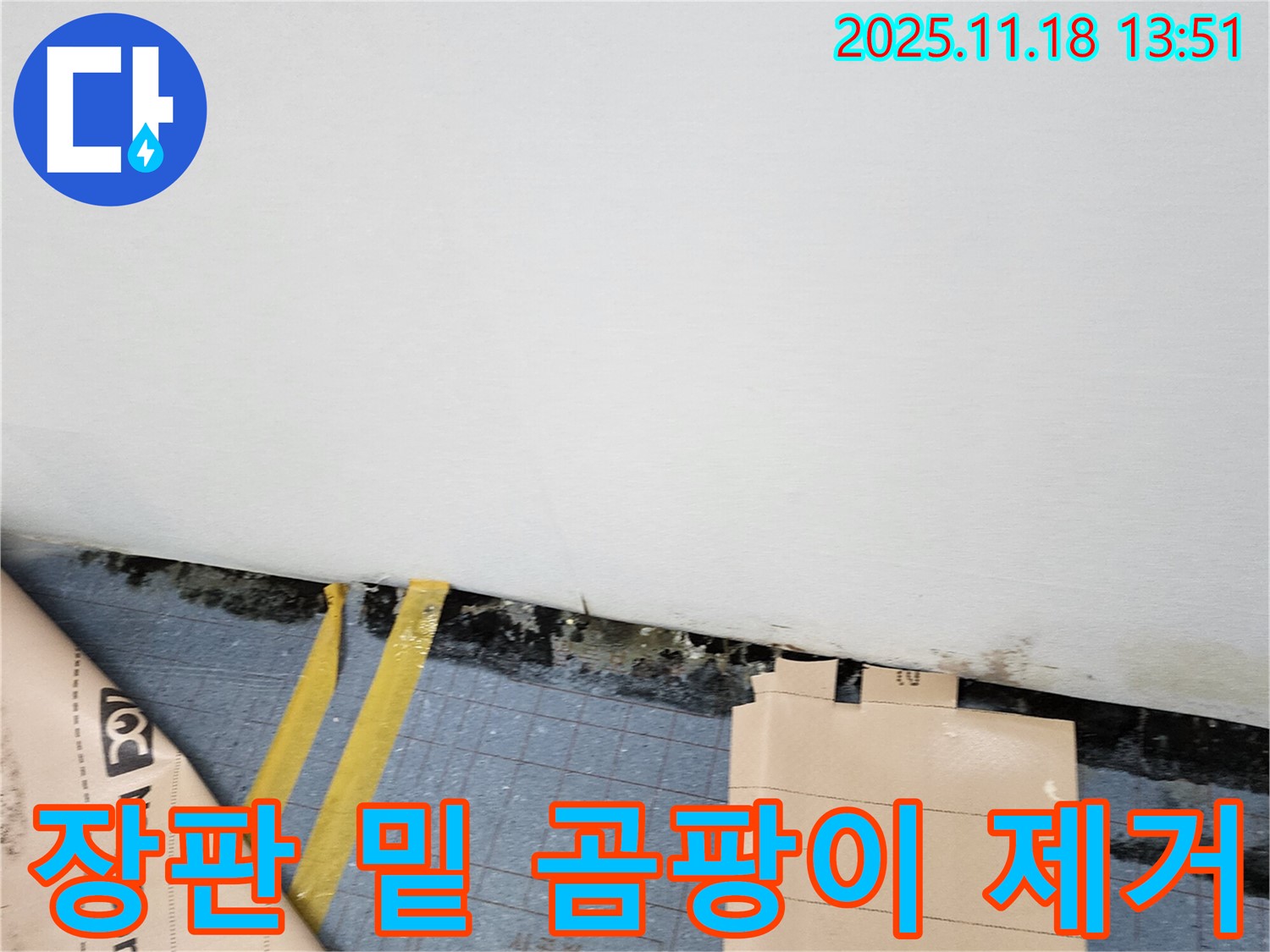 포천시 진목리 누수 현장 - 장판 밑 곰팡이 뿌리까지 뽑아 완벽하게 제거하고, 재발 방지 시공까지 해드립니다.