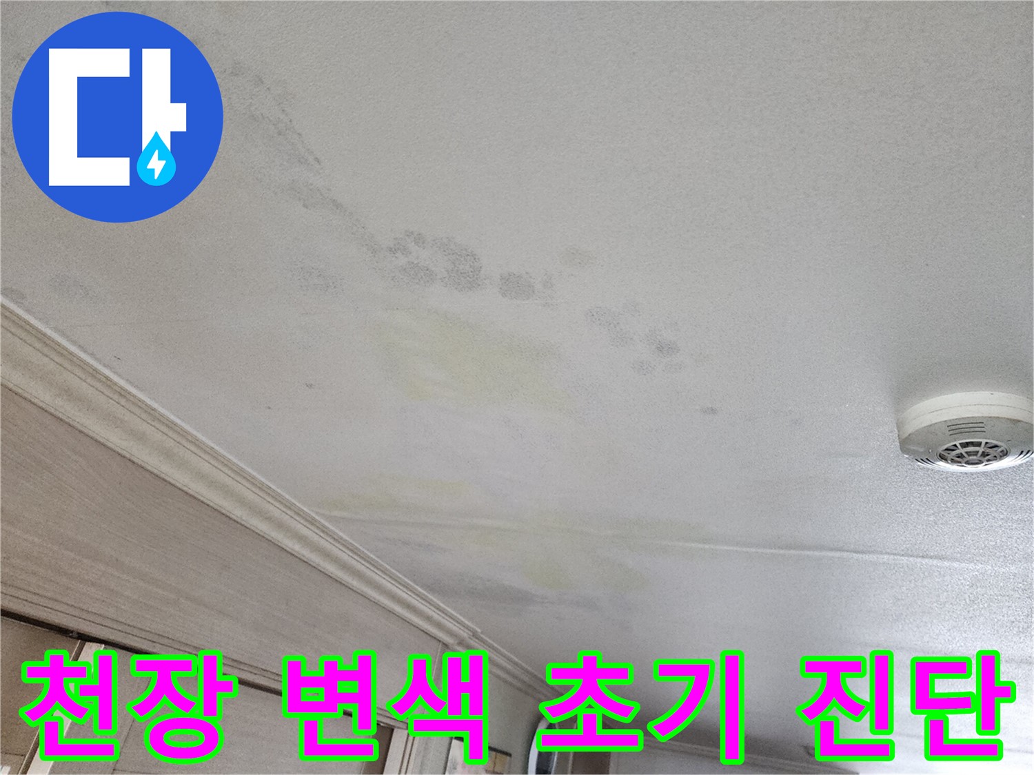광명 철산동 두산위브 103동 아파트 천장 변색 - 초기 누수 진단