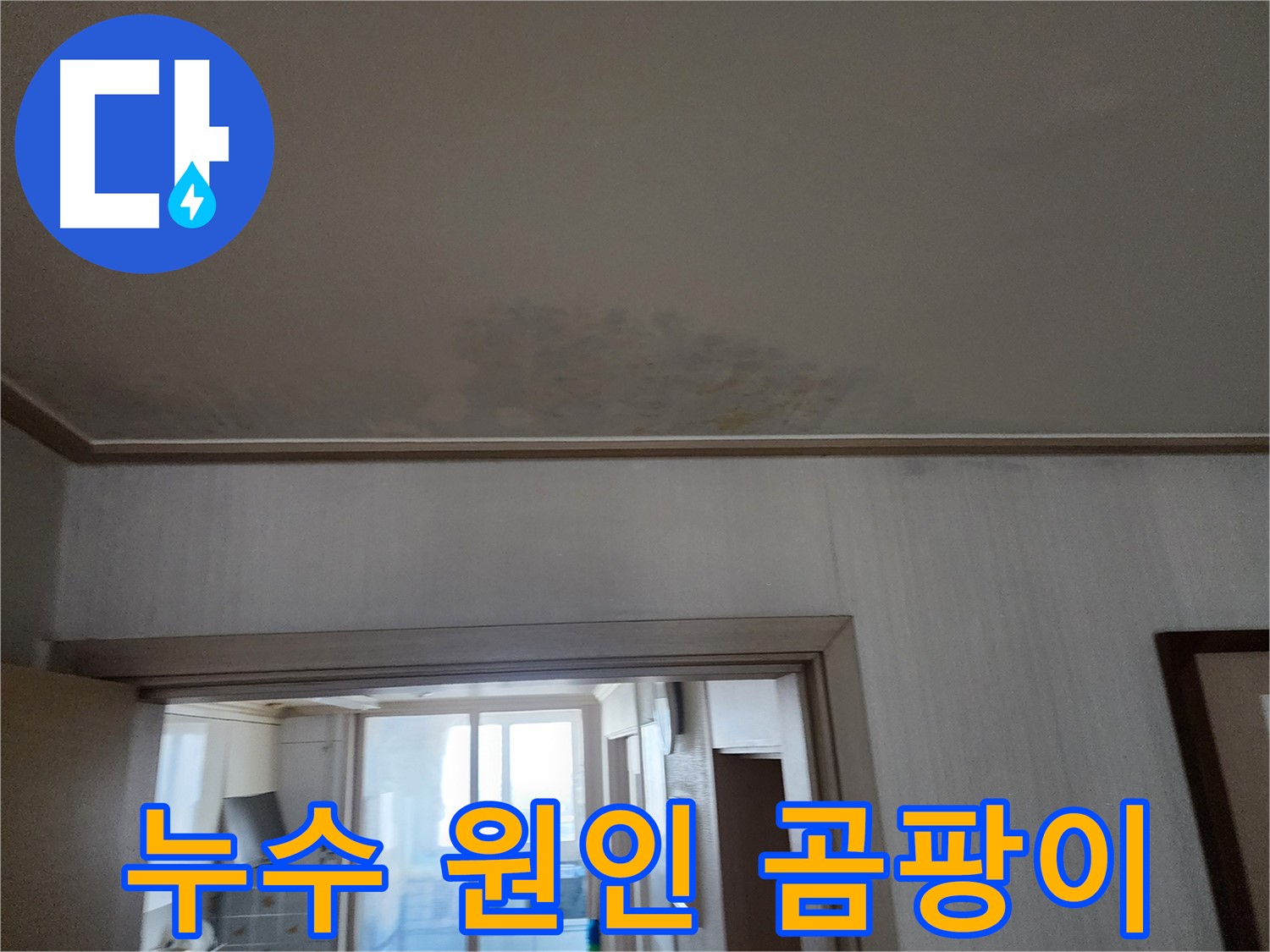 광명 철산동 두산위브 아파트 천장 누수 원인 및 곰팡이 - 누수 전문가가 누수 원인과 곰팡이 상태를 확인합니다.