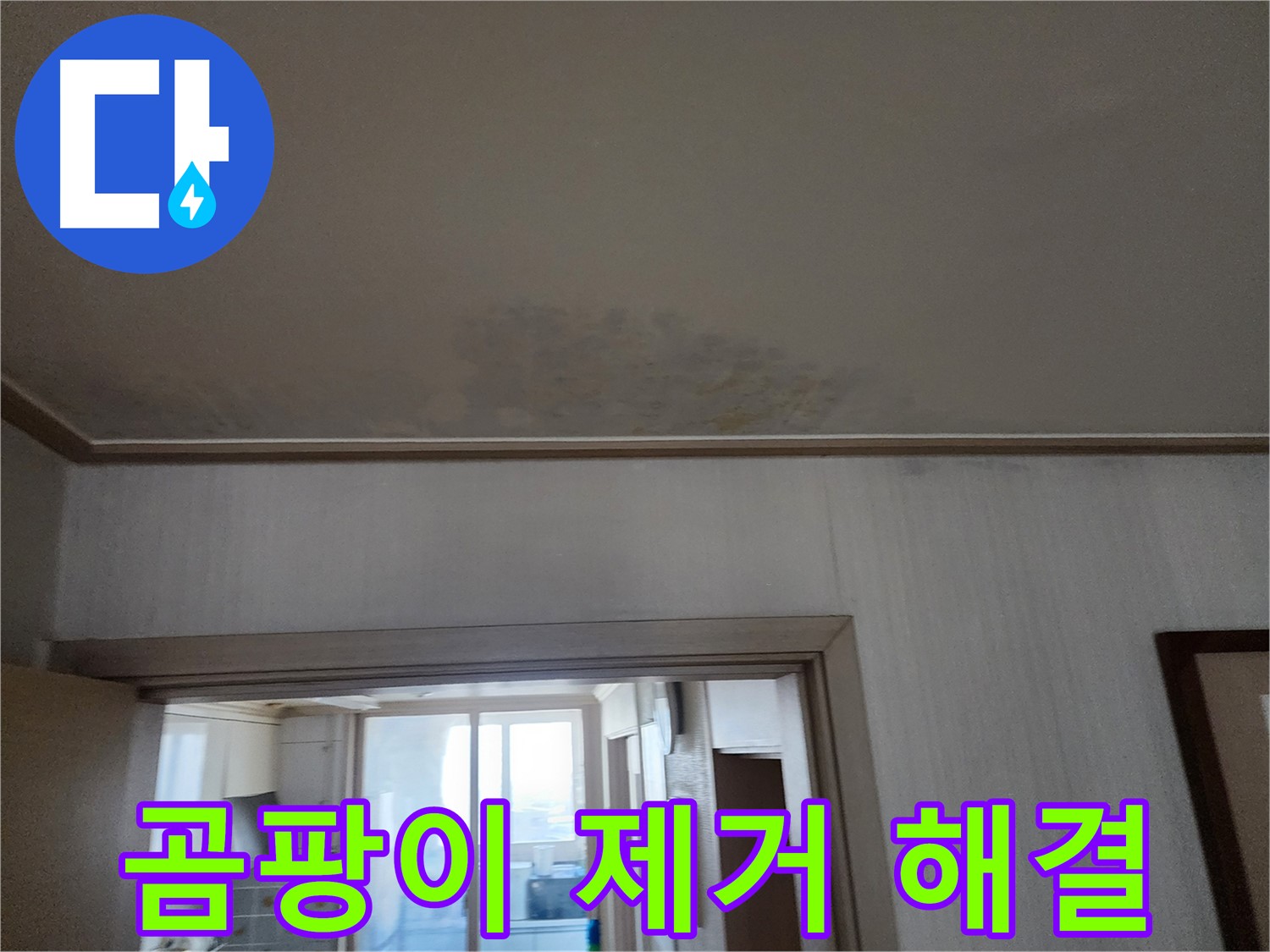 광명 철산동 두산위브 아파트 천장 누수 원인 분석 및 곰팡이 제거 - 누수 전문가가 누수 원인을 분석하고 곰팡이를 제거합니다.