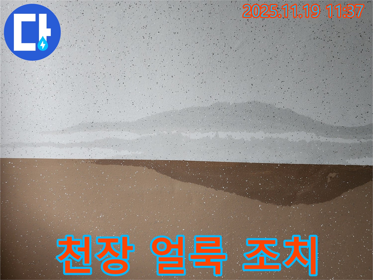 천장 얼룩 조치 - 곰팡이 발생 전 빠른 조치