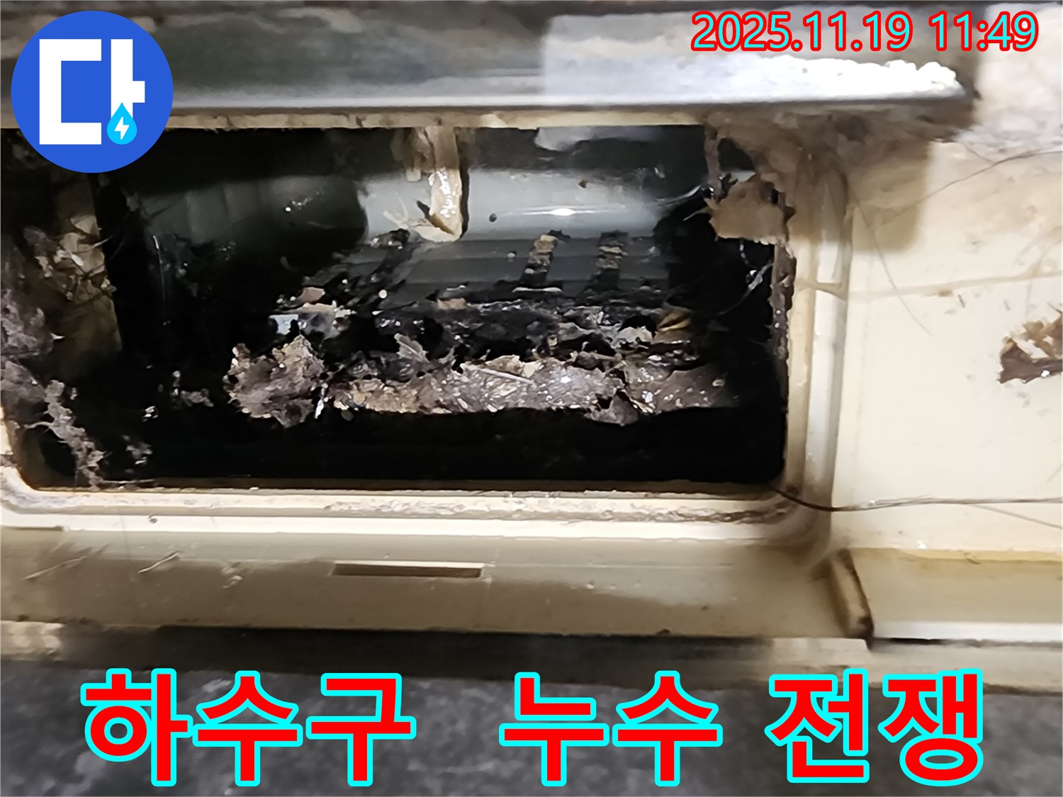 포천 내촌면 마명리에서 하수구 막힘으로 인한 누수 문제 해결에 나선 전문가의 결의